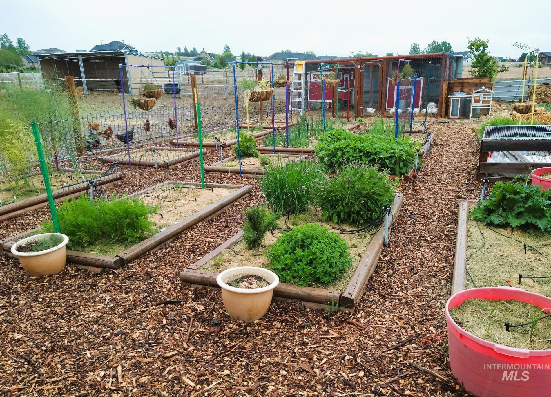 12575 Anakate Lane, Nampa, Idaho 83686, 4 Bedrooms, 3.5 Bathrooms, Residential For Sale, Price $1,175,000,MLS 98974646