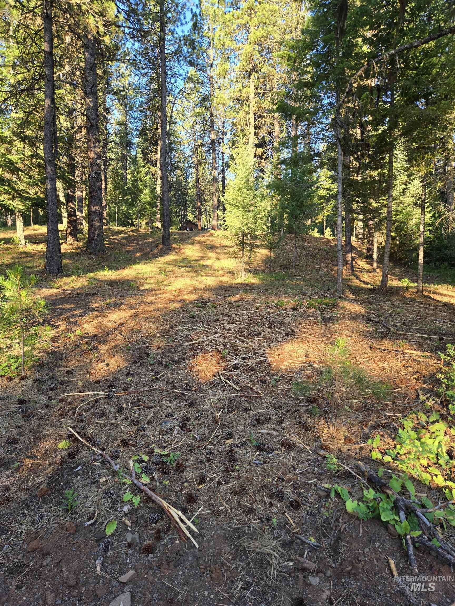 TBD Sorrel, New Meadows, Idaho 83654, Land For Sale, Price $80,000,MLS 98974653