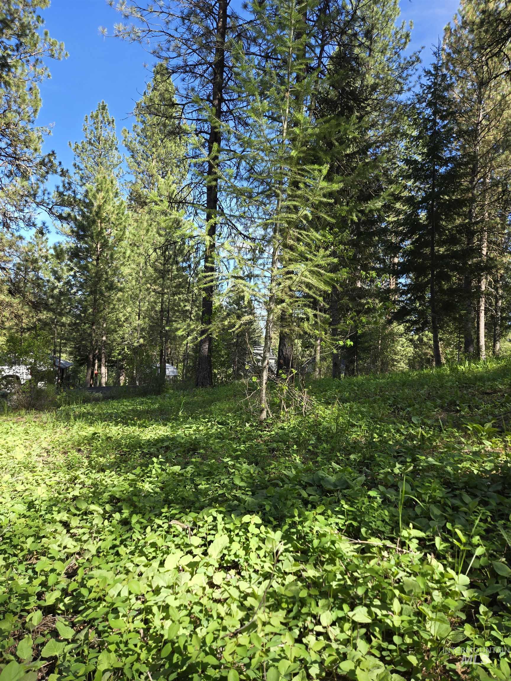 TBD Sorrel, New Meadows, Idaho 83654, Land For Sale, Price $70,000, 98974653