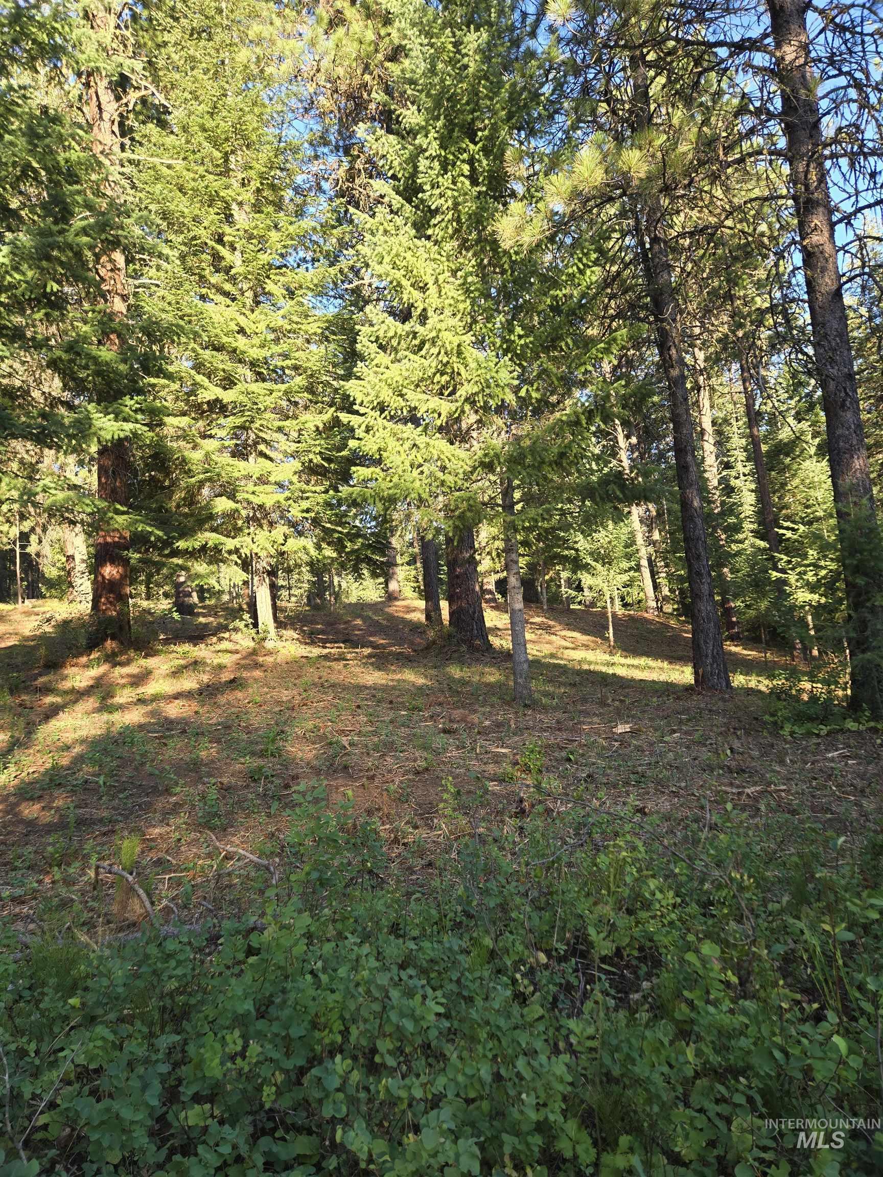 TBD Sorrel, New Meadows, Idaho 83654, Land For Sale, Price $70,000, 98974653