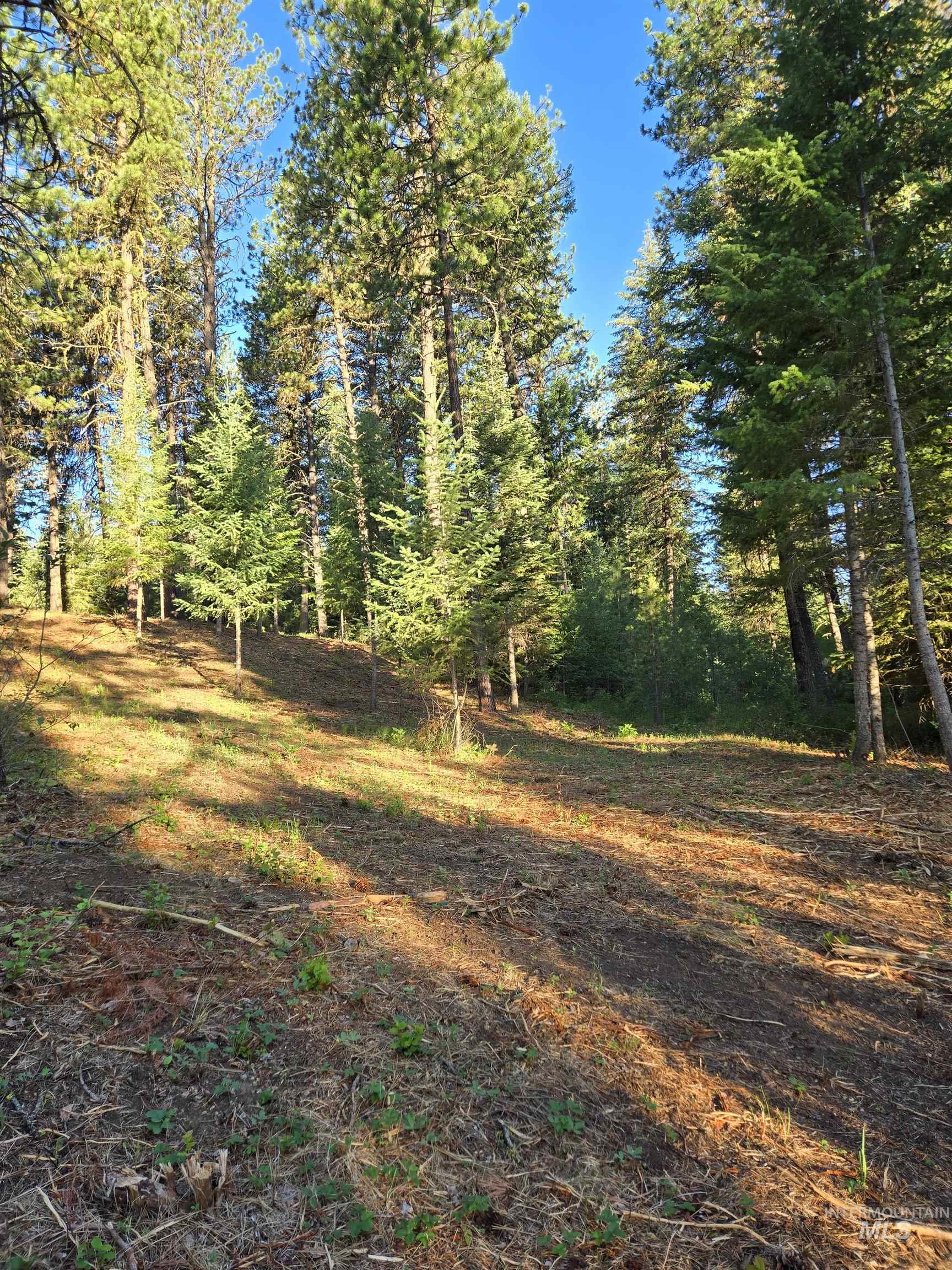 TBD Sorrel, New Meadows, Idaho 83654, Land For Sale, Price $70,000, 98974653