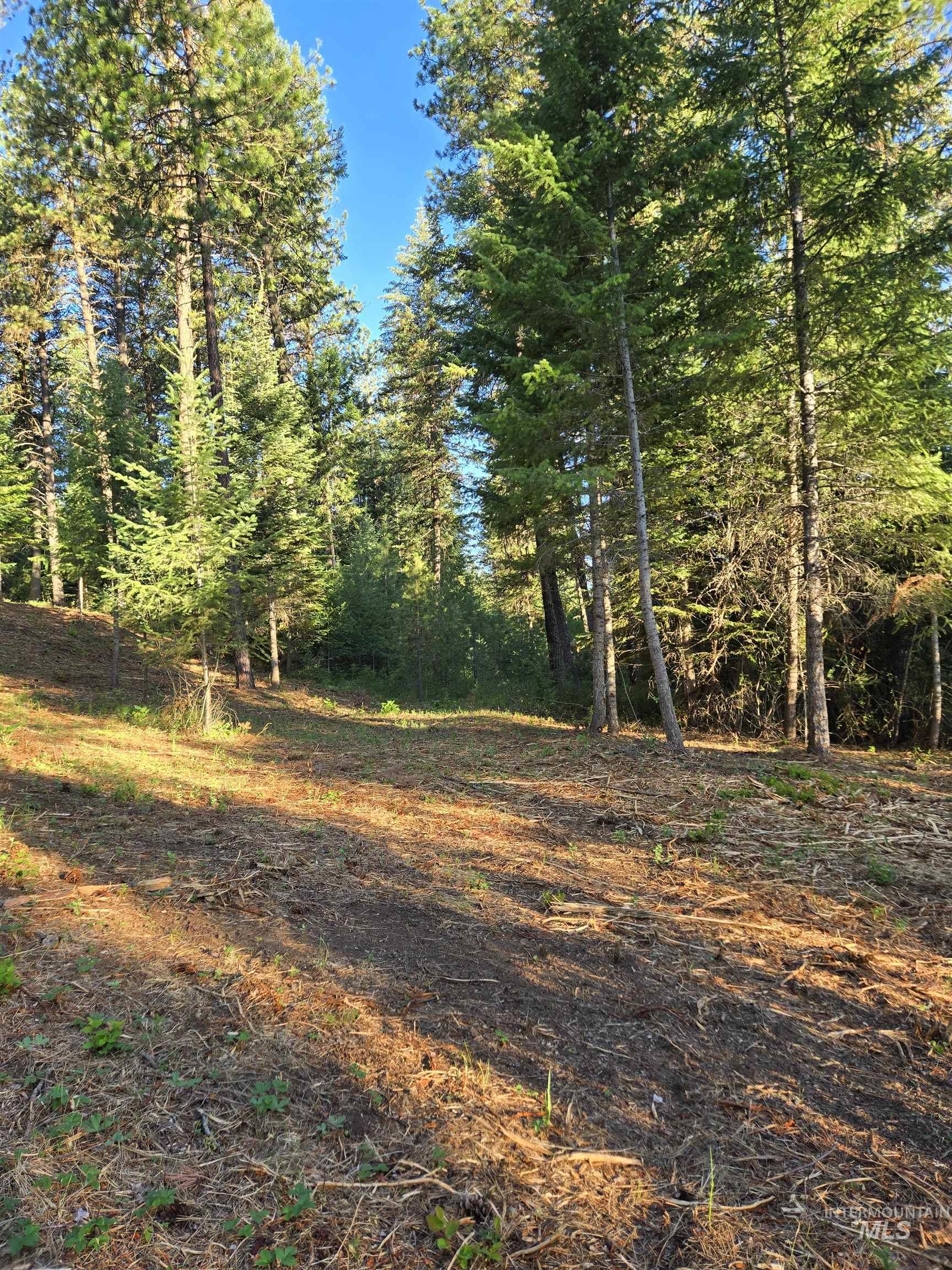 TBD Sorrel, New Meadows, Idaho 83654, Land For Sale, Price $70,000, 98974653