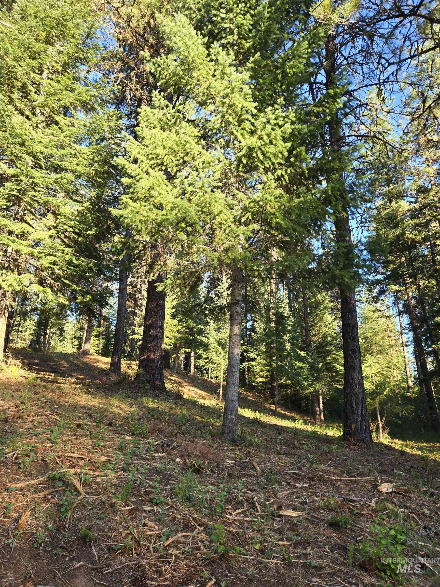 TBD Sorrel, New Meadows, Idaho 83654, Land For Sale, Price $70,000, 98974653