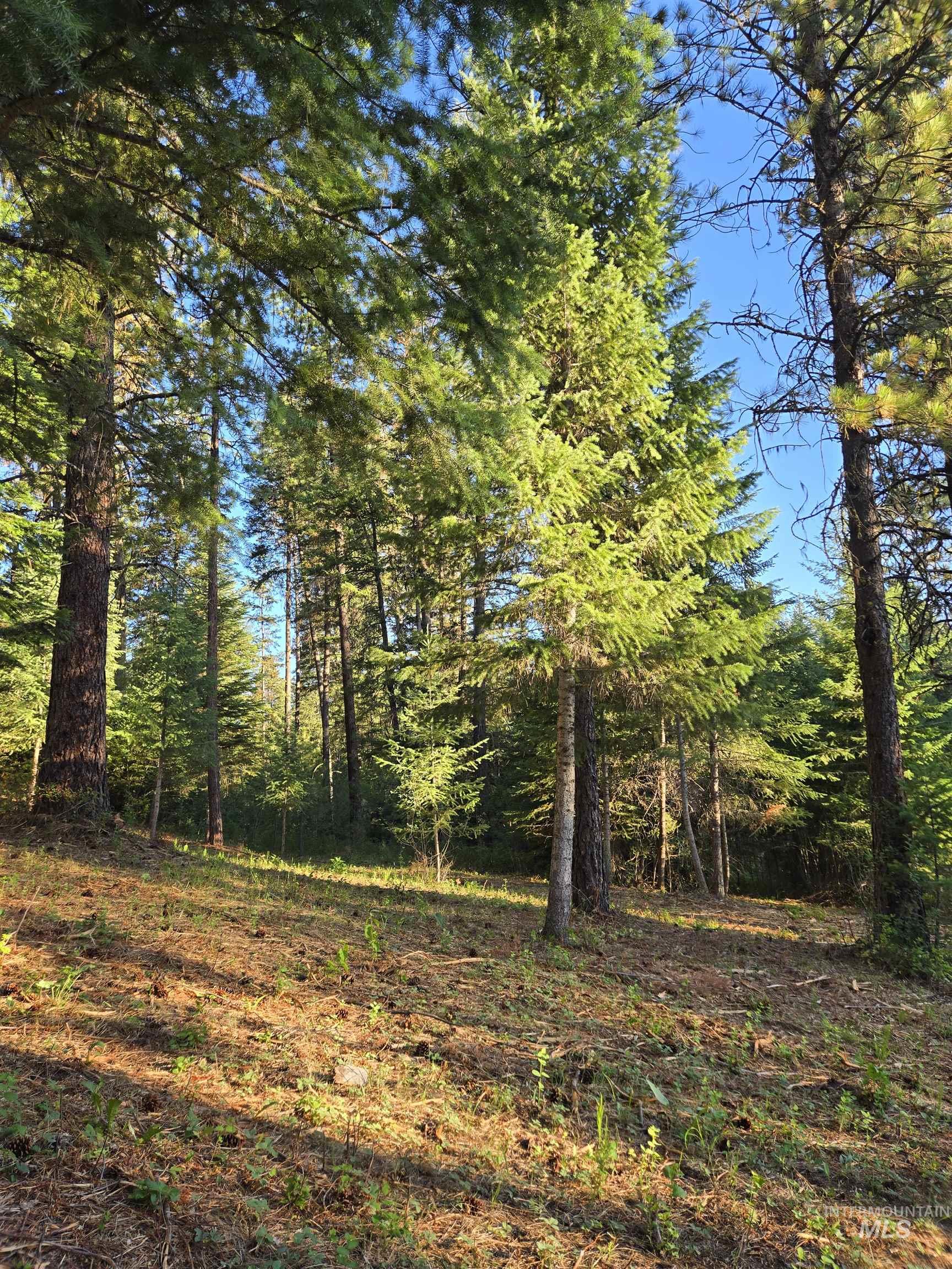 TBD Sorrel, New Meadows, Idaho 83654, Land For Sale, Price $70,000, 98974653