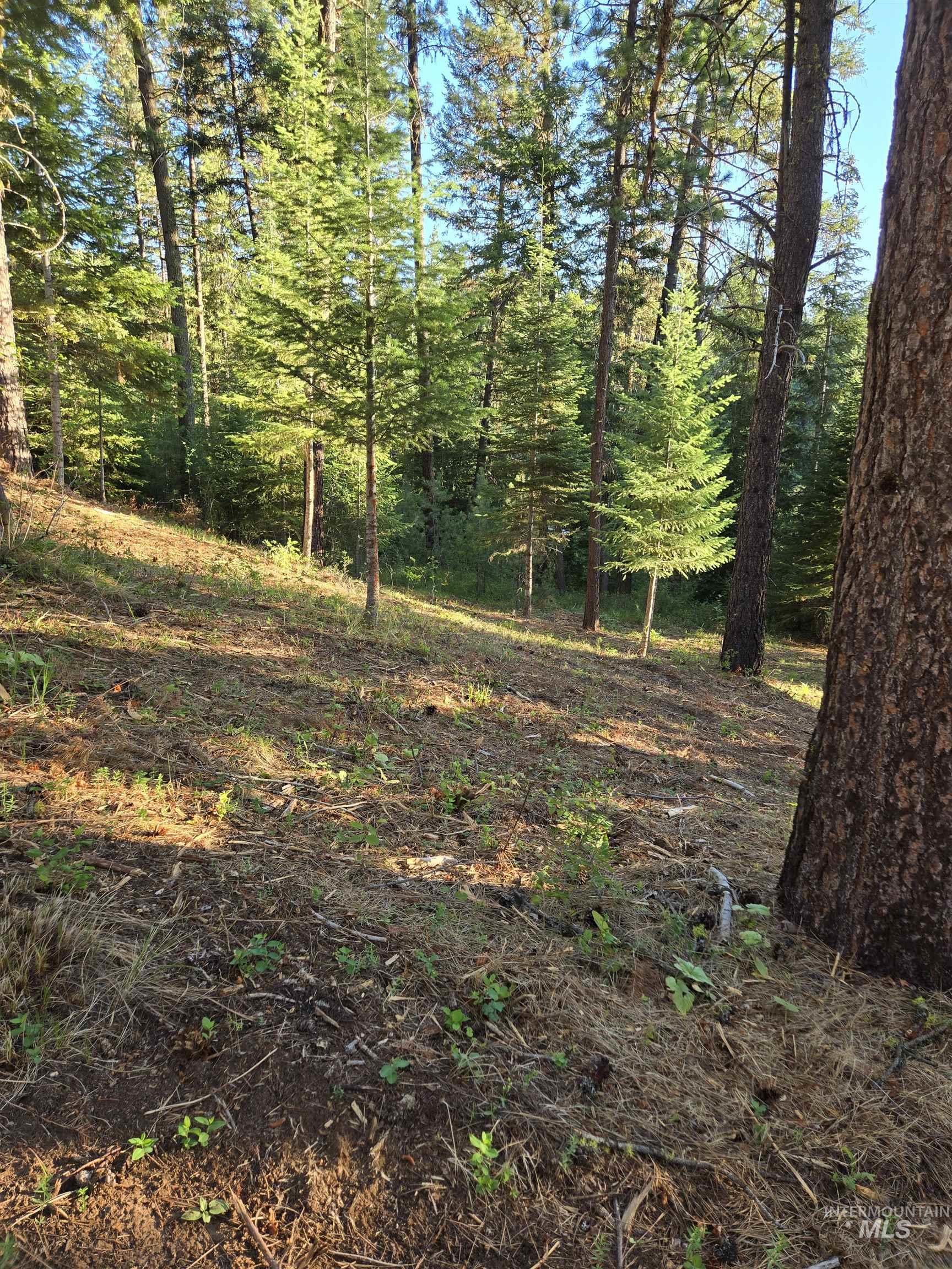 TBD Sorrel, New Meadows, Idaho 83654, Land For Sale, Price $70,000, 98974653
