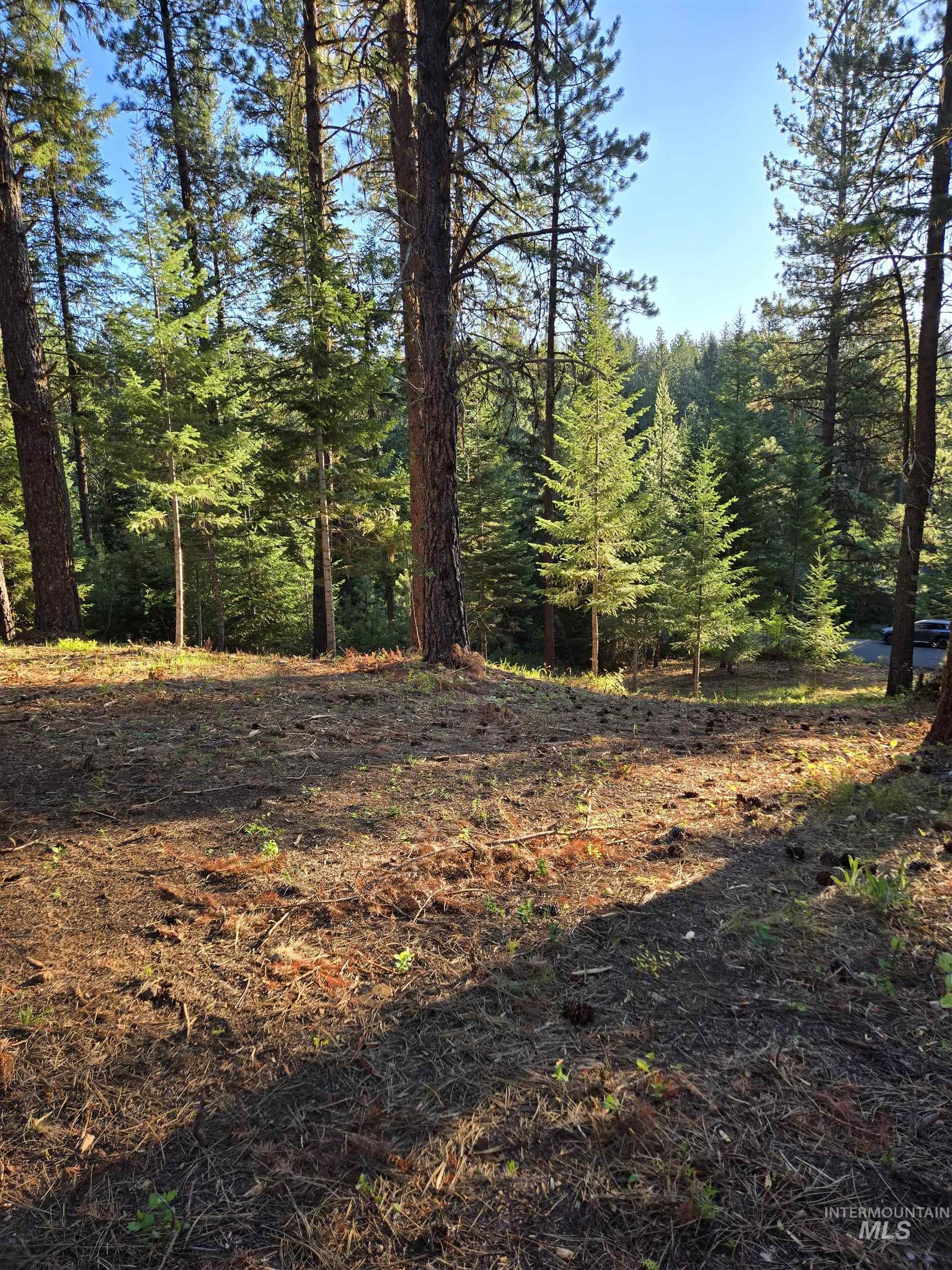 TBD Sorrel, New Meadows, Idaho 83654, Land For Sale, Price $70,000, 98974653