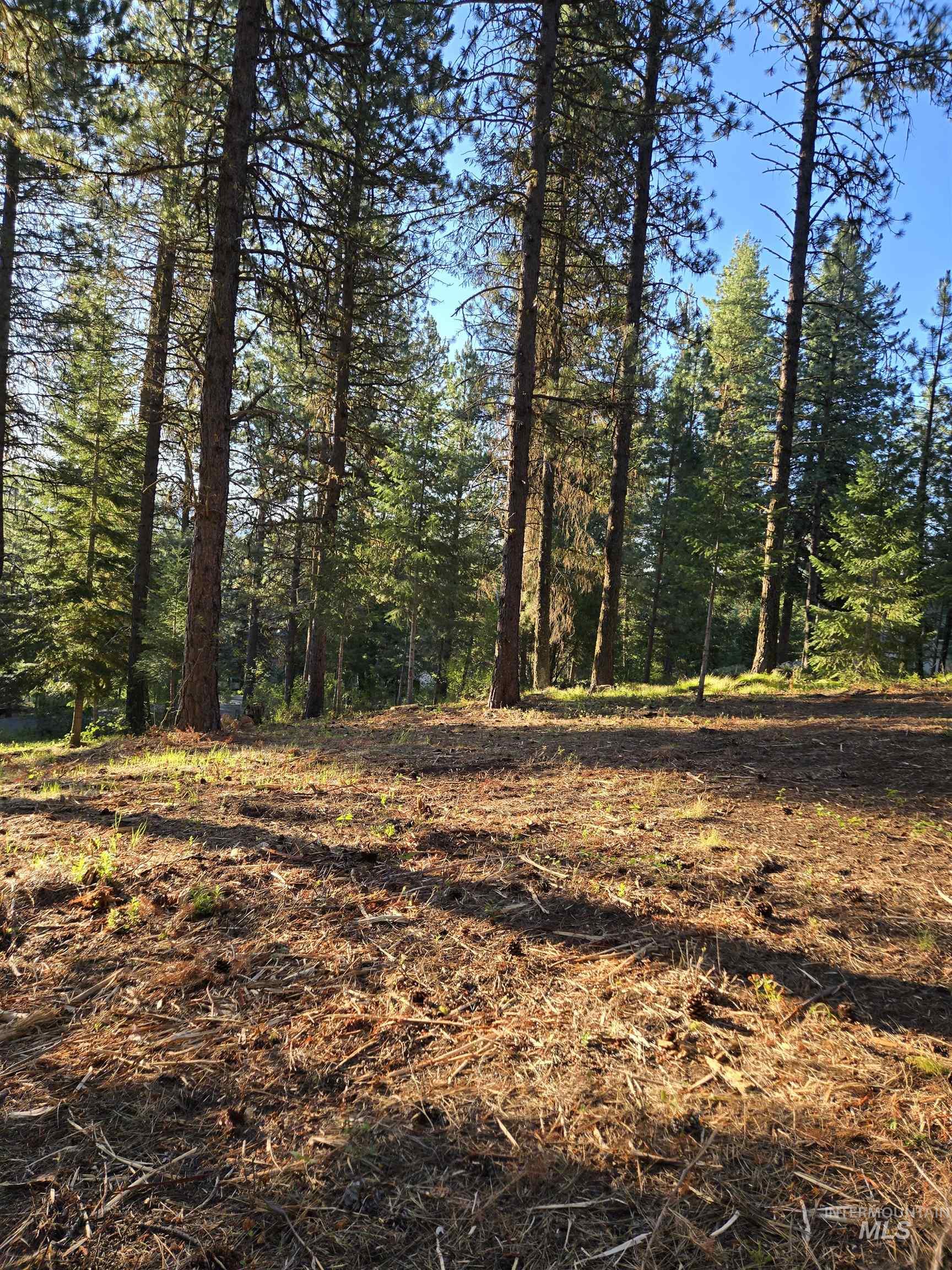 TBD Sorrel, New Meadows, Idaho 83654, Land For Sale, Price $70,000, 98974653