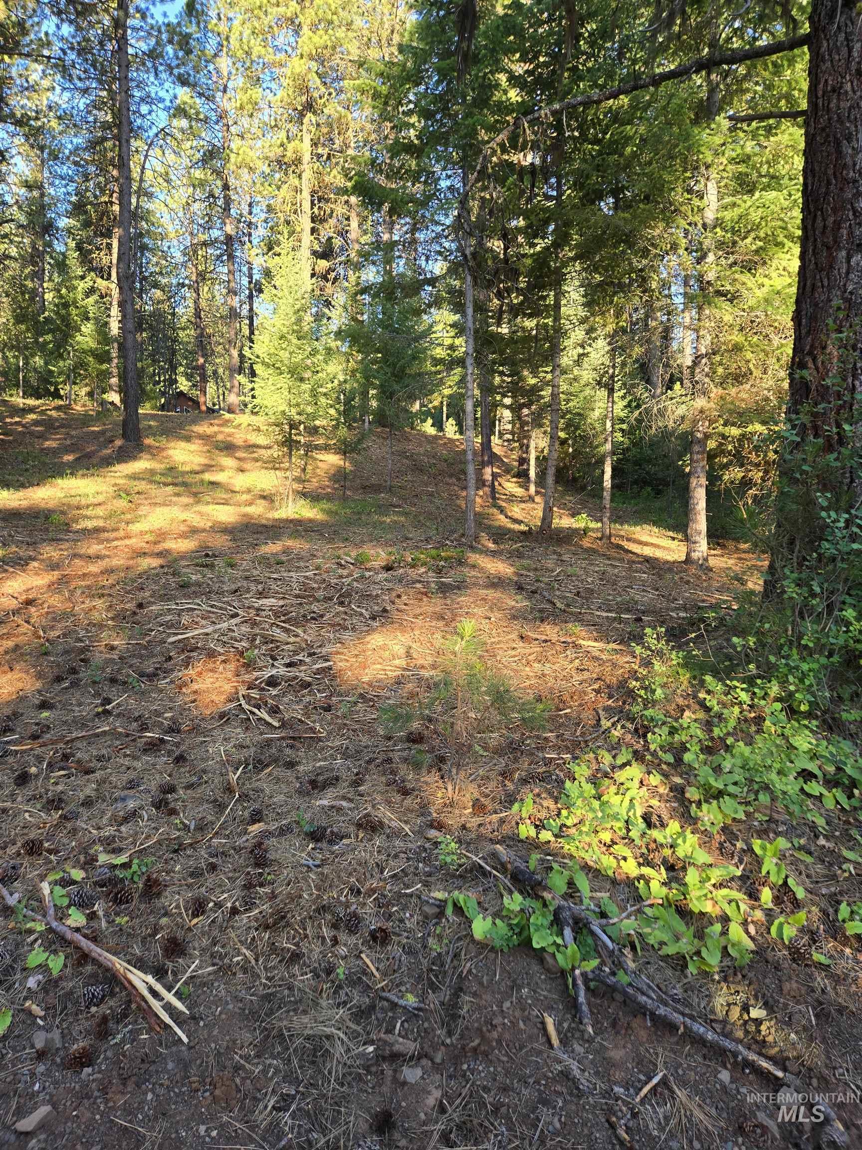 TBD Sorrel, New Meadows, Idaho 83654, Land For Sale, Price $80,000,MLS 98974653