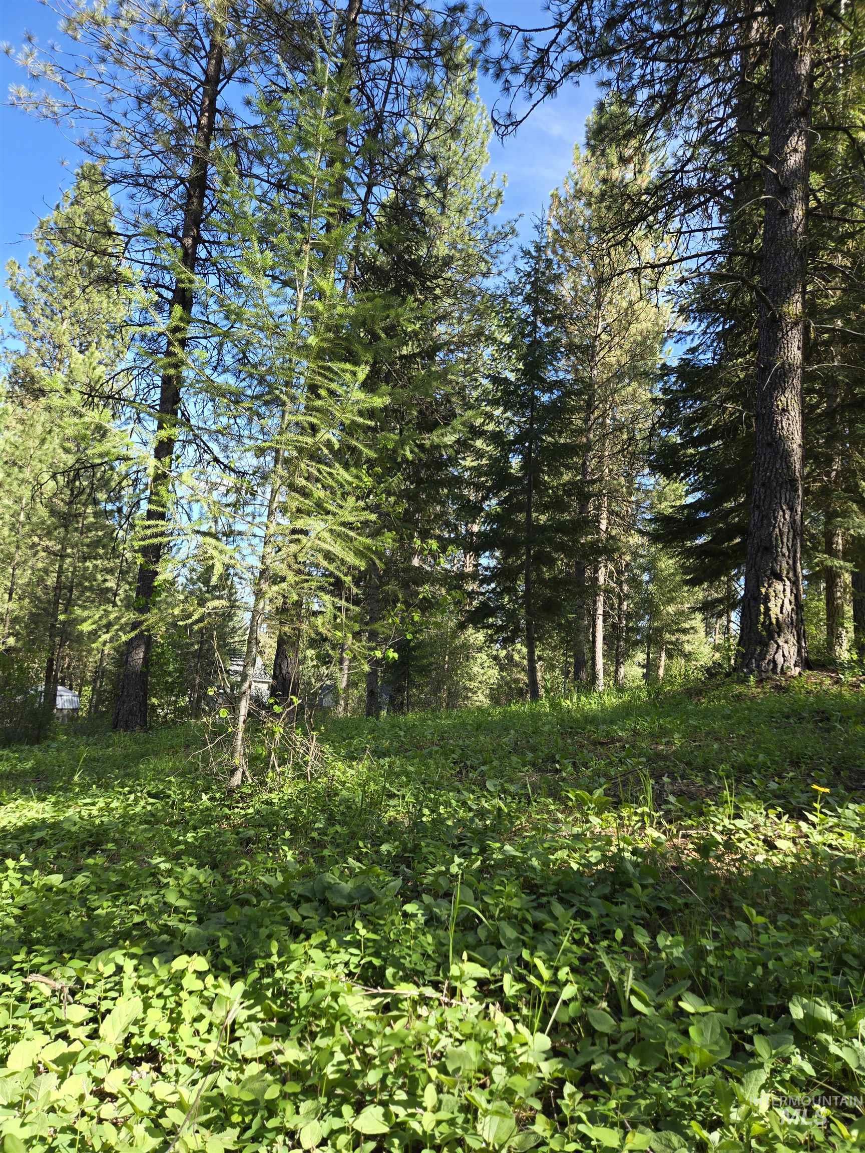 TBD Sorrel, New Meadows, Idaho 83654, Land For Sale, Price $70,000, 98974653