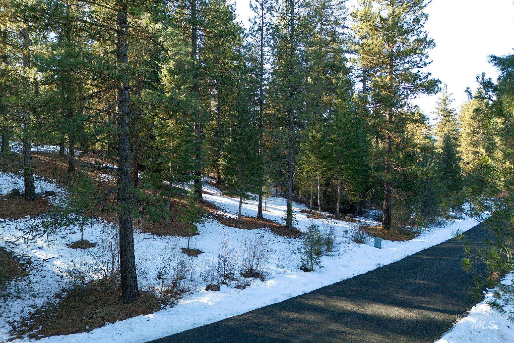 TBD Sorrel, New Meadows, Idaho 83654, Land For Sale, Price $70,000, 98974653
