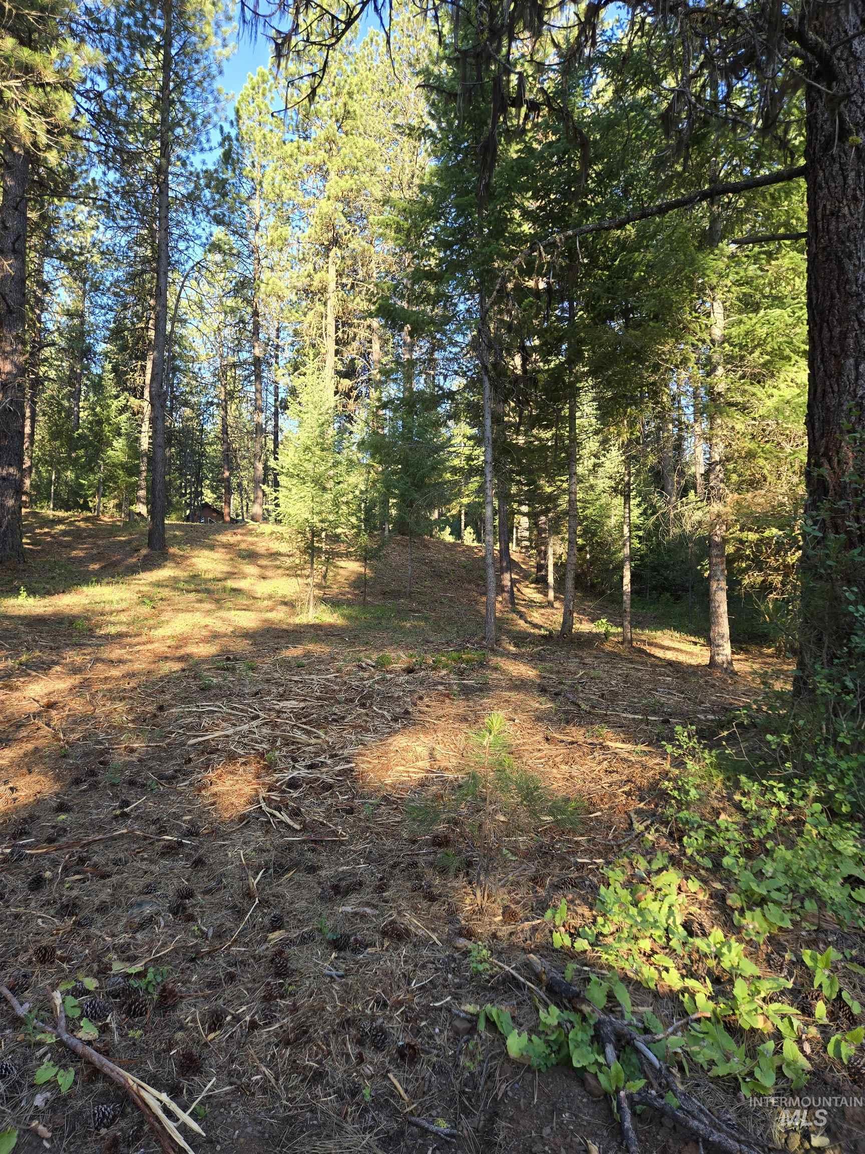 TBD Sorrel, New Meadows, Idaho 83654, Land For Sale, Price $80,000,MLS 98974653