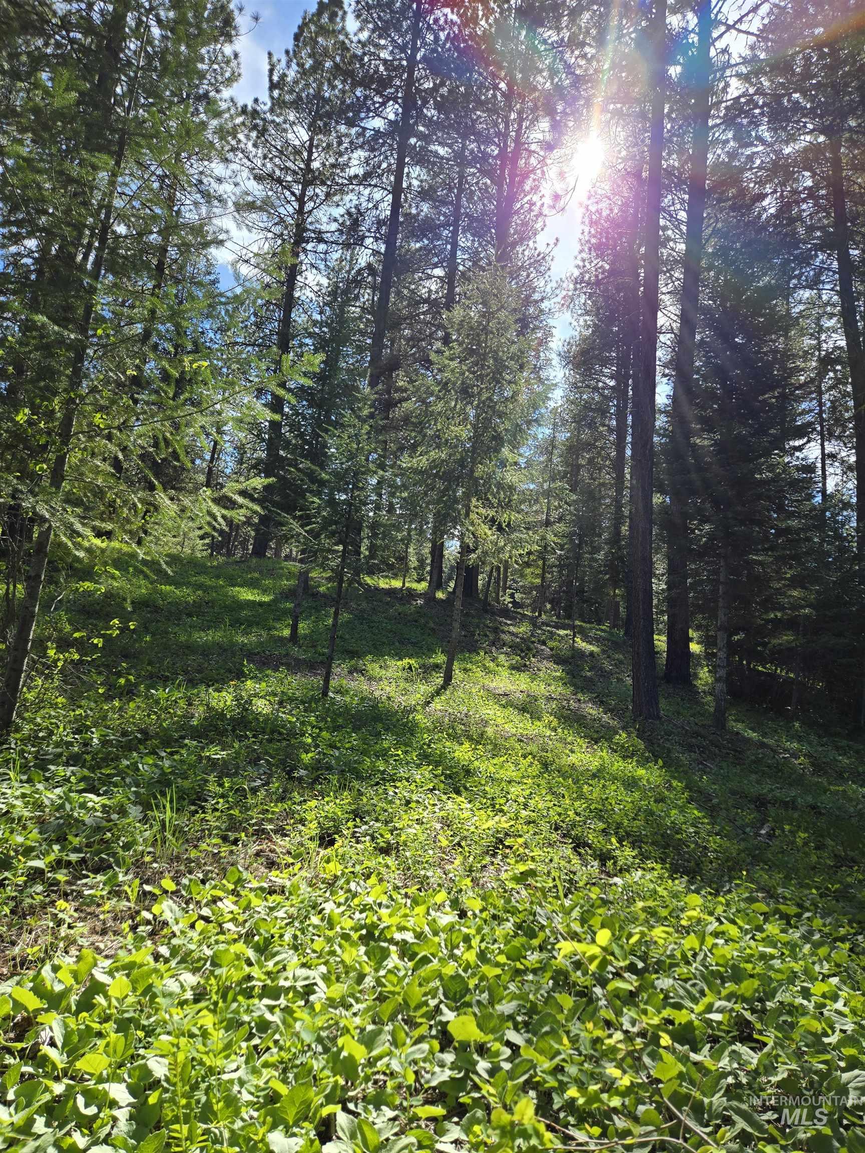 TBD Sorrel, New Meadows, Idaho 83654, Land For Sale, Price $70,000, 98974653