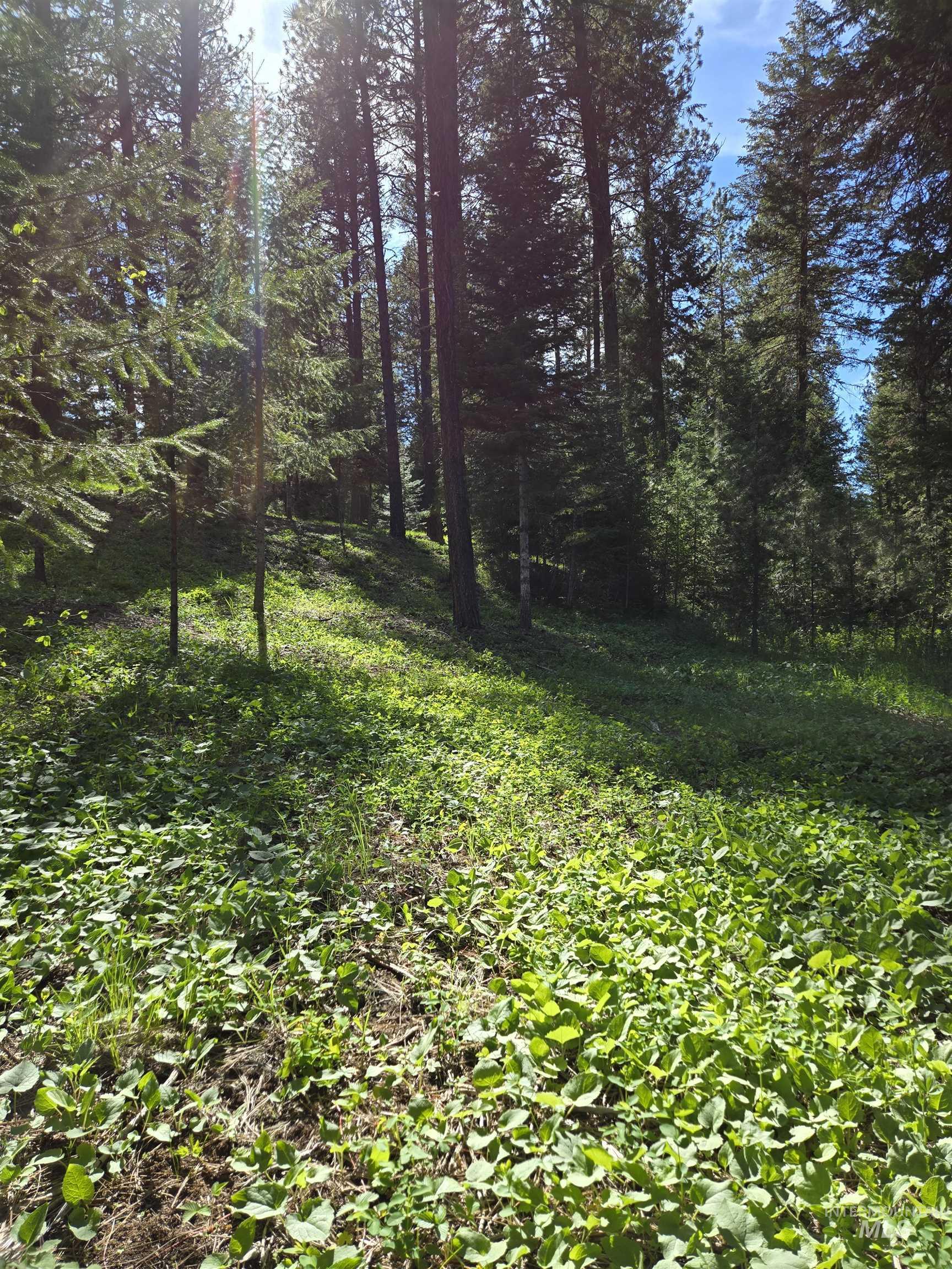 TBD Sorrel, New Meadows, Idaho 83654, Land For Sale, Price $70,000, 98974653