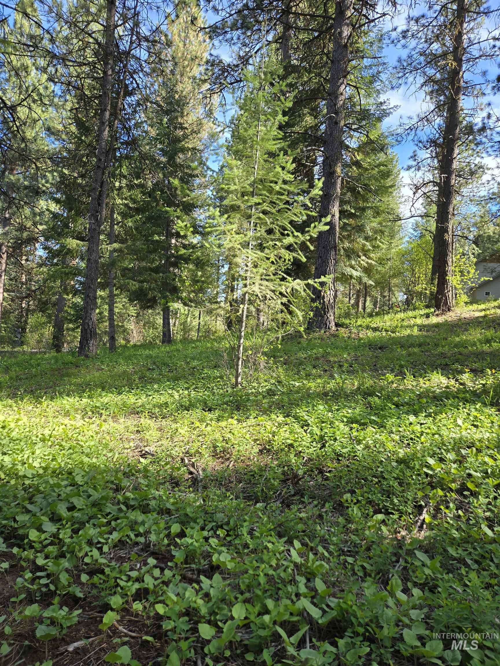 TBD Sorrel, New Meadows, Idaho 83654, Land For Sale, Price $70,000, 98974653