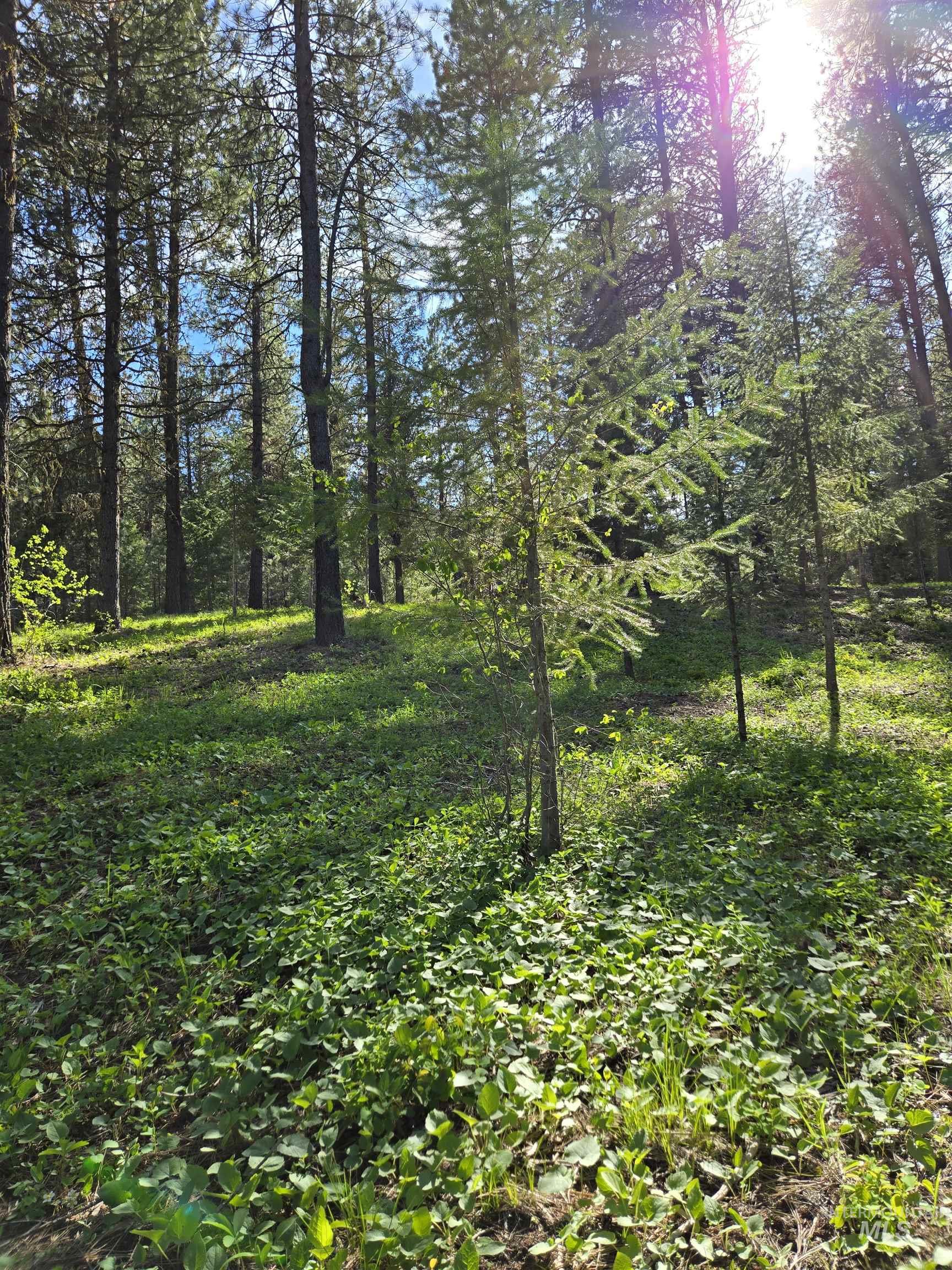 TBD Sorrel, New Meadows, Idaho 83654, Land For Sale, Price $70,000, 98974653