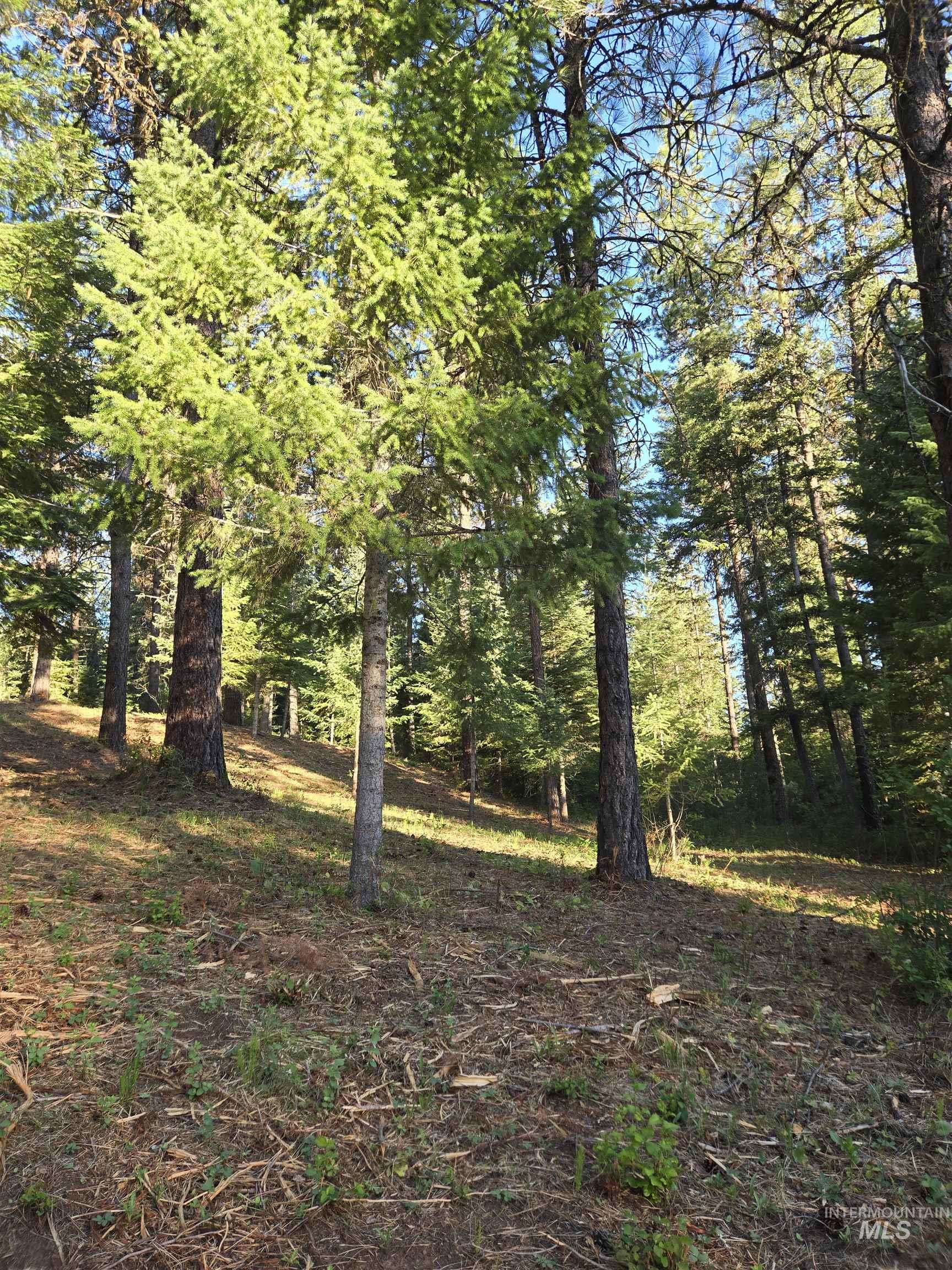 TBD Sorrel, New Meadows, Idaho 83654, Land For Sale, Price $70,000, 98974653