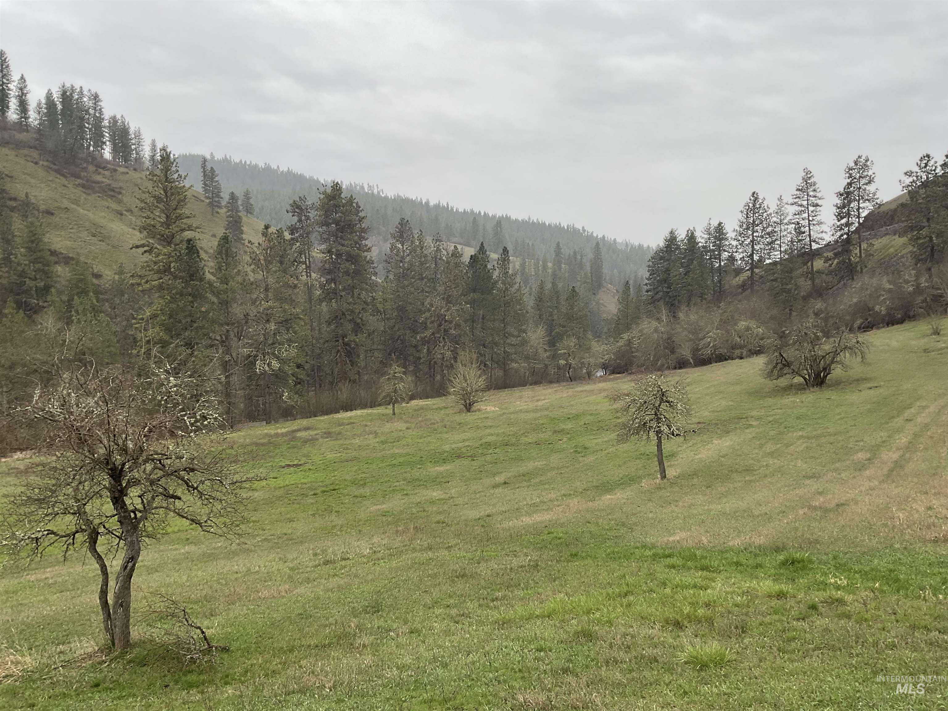 1050 Cedar Ridge Rd, Kendrick, Idaho 83537, Land For Sale, Price $450,000,MLS 98974670