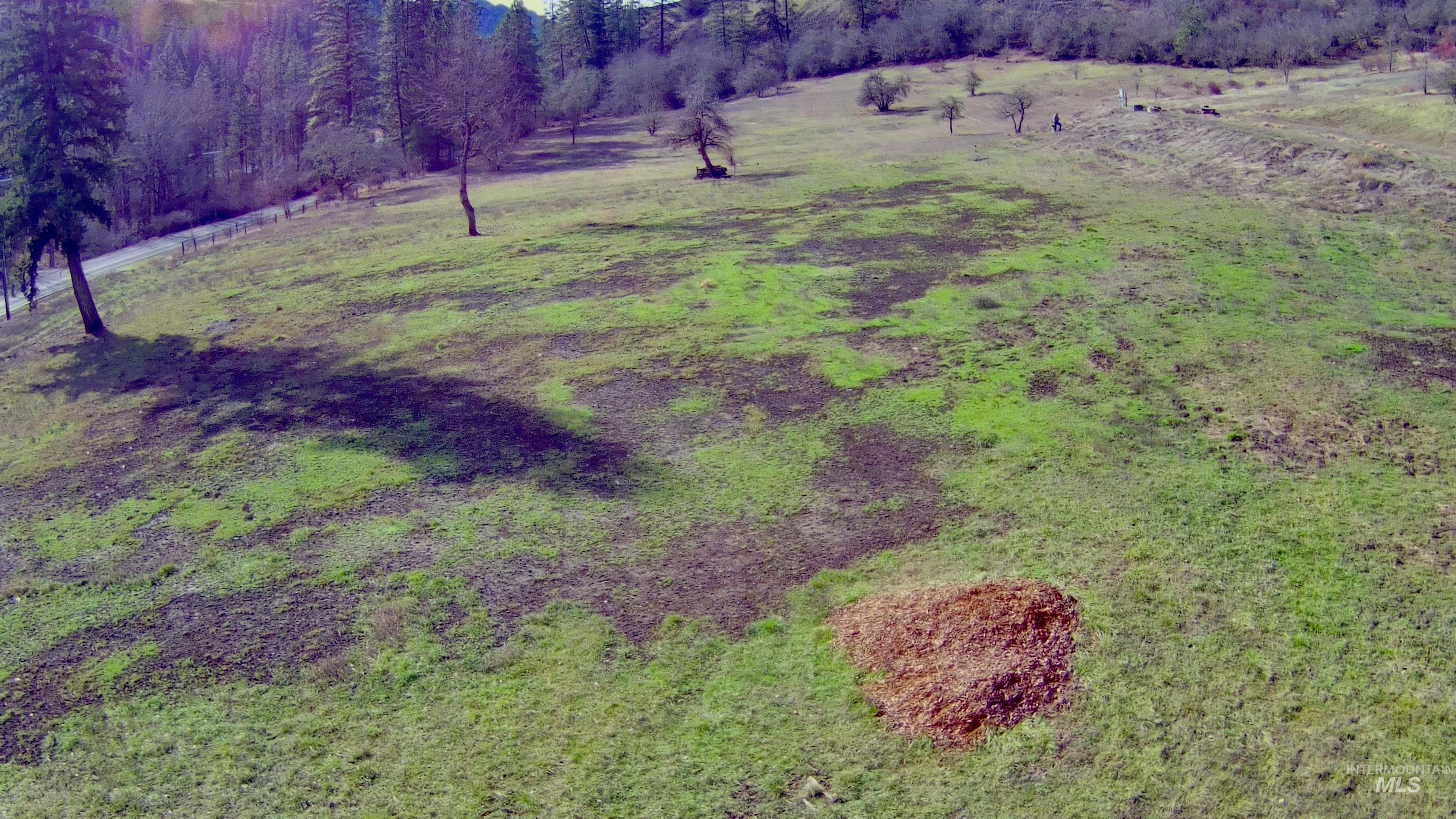 1050 Cedar Ridge Rd, Kendrick, Idaho 83537, Land For Sale, Price $450,000,MLS 98974670