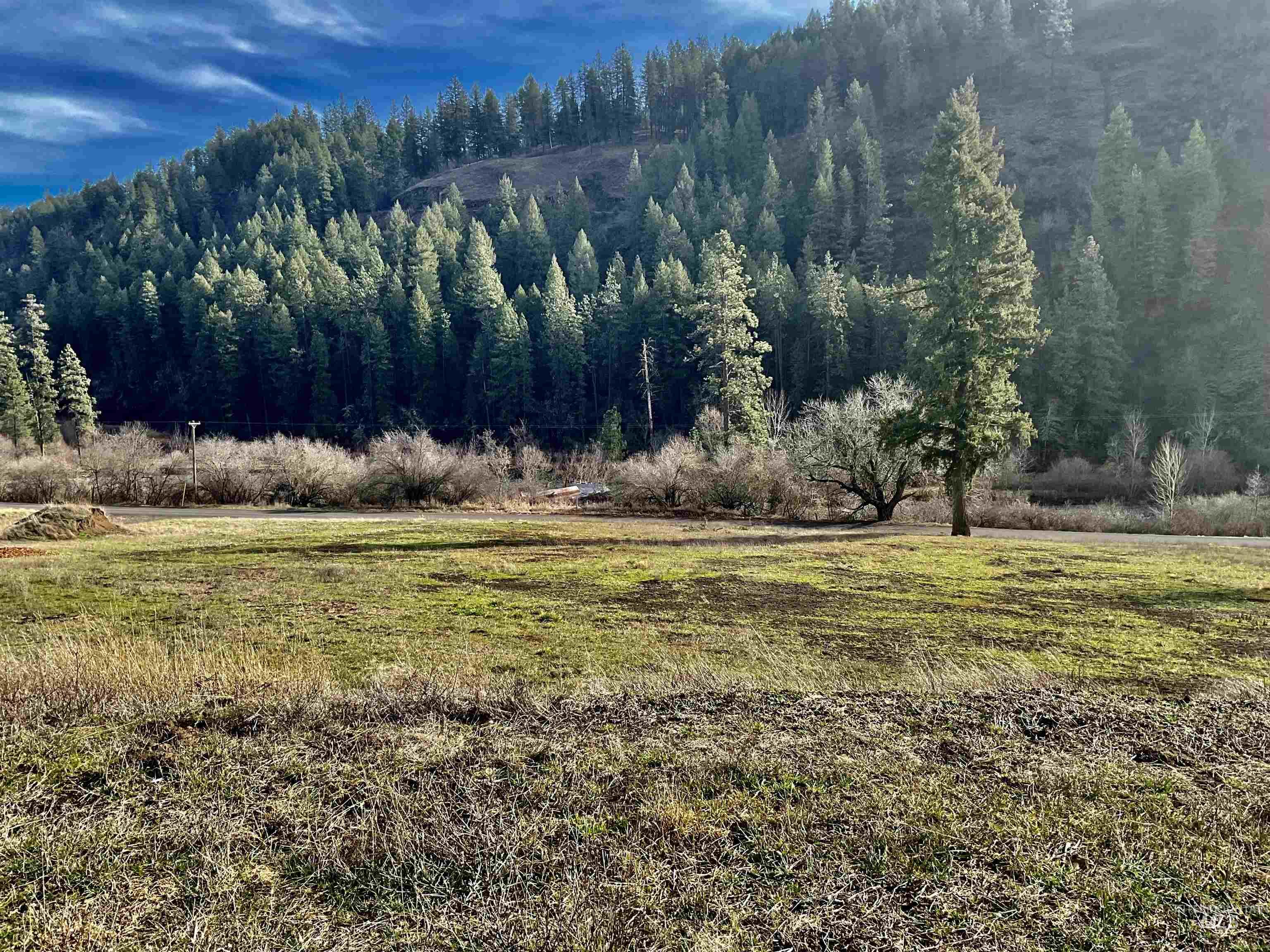 1050 Cedar Ridge Rd, Kendrick, Idaho 83537, Land For Sale, Price $450,000, 98974670