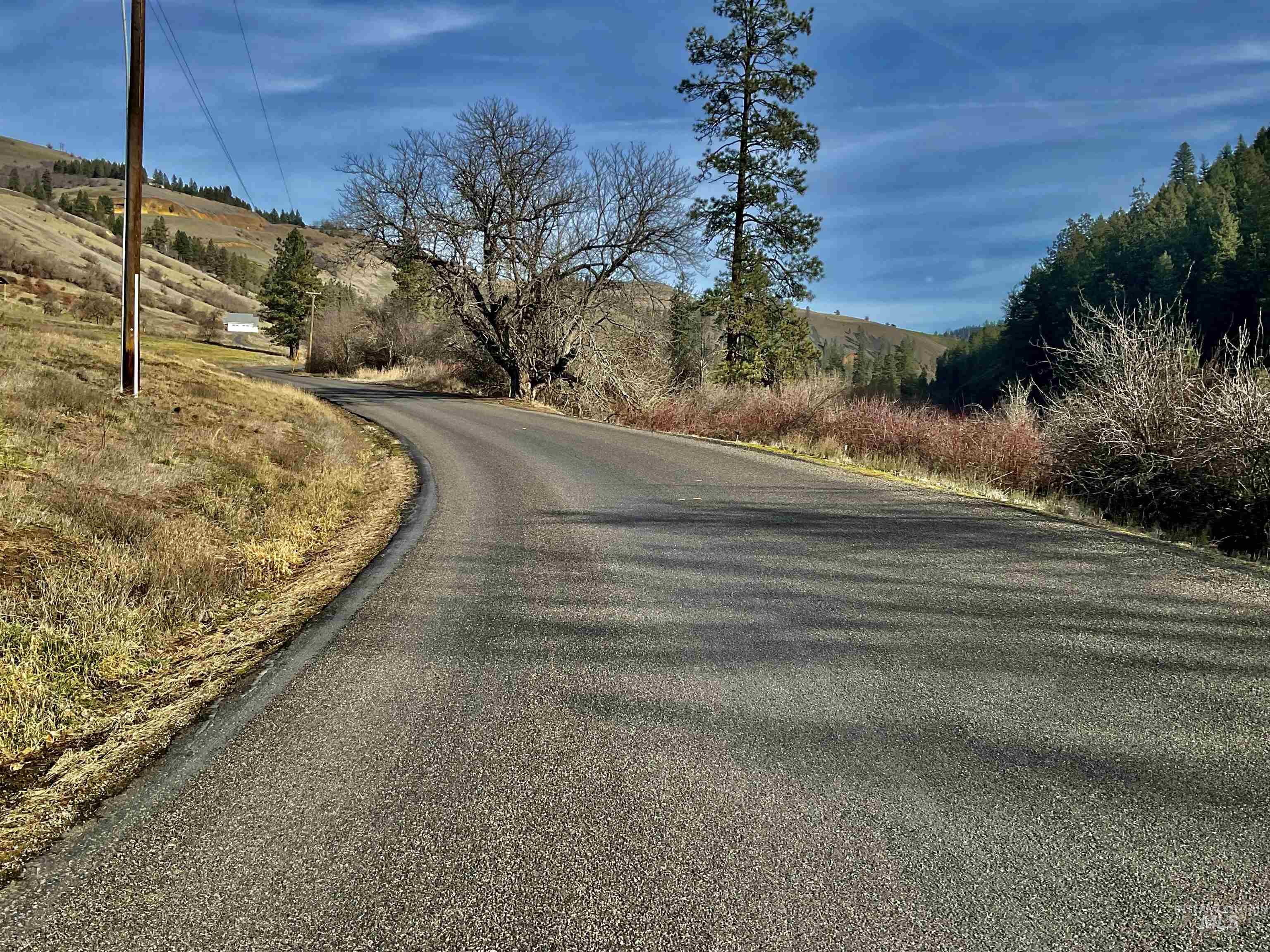 1050 Cedar Ridge Rd, Kendrick, Idaho 83537, Land For Sale, Price $450,000,MLS 98974670