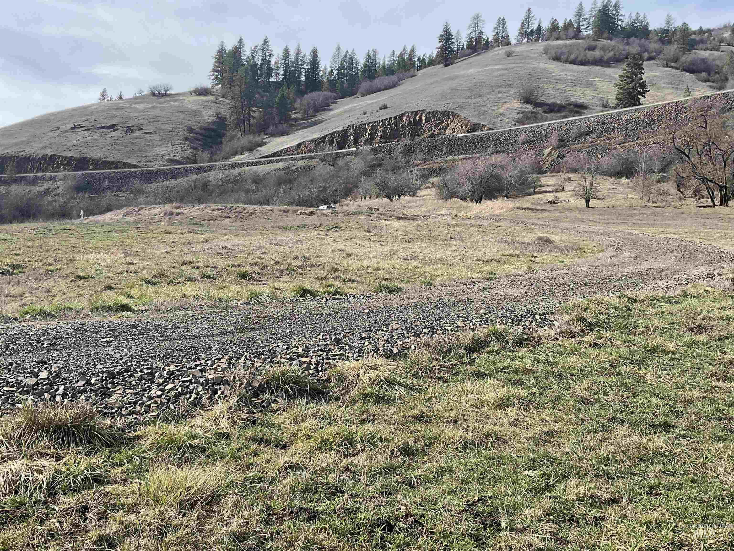 1050 Cedar Ridge Rd, Kendrick, Idaho 83537, Land For Sale, Price $450,000,MLS 98974670