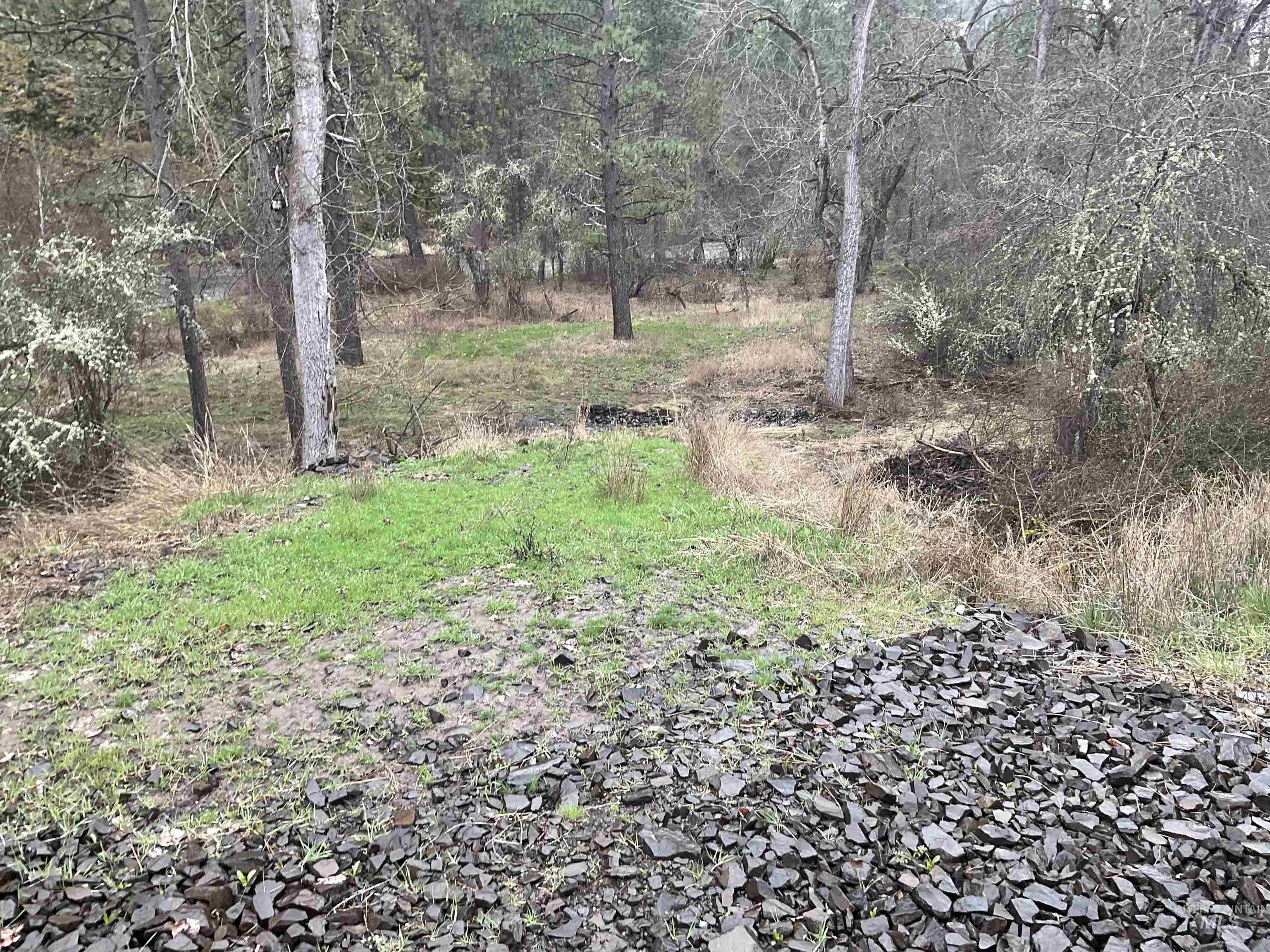 1050 Cedar Ridge Rd, Kendrick, Idaho 83537, Land For Sale, Price $450,000,MLS 98974670