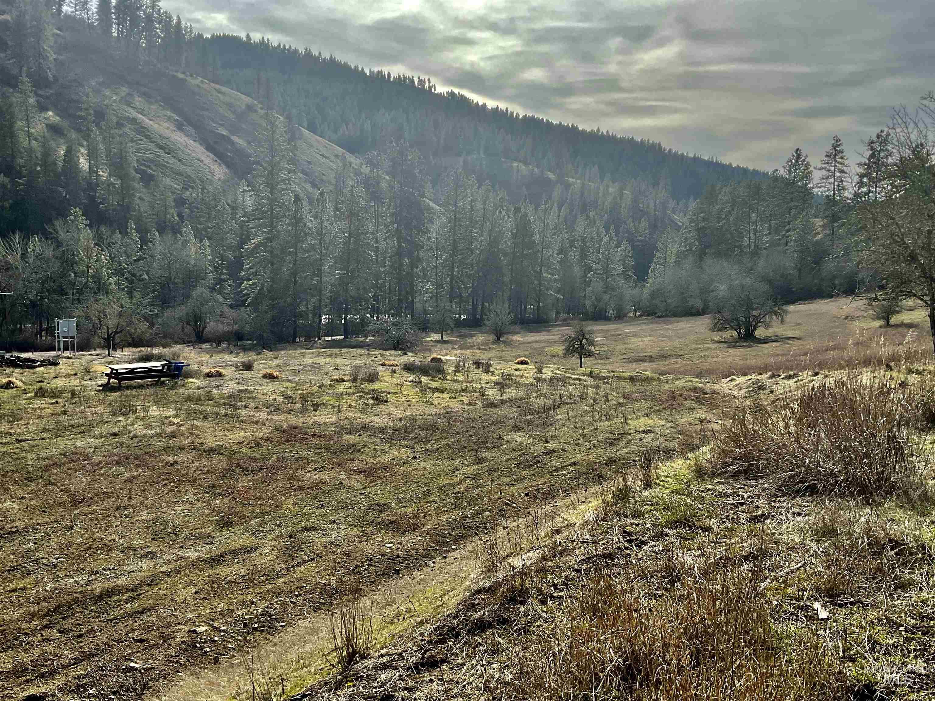 1050 Cedar Ridge Rd, Kendrick, Idaho 83537, Land For Sale, Price $450,000, 98974670