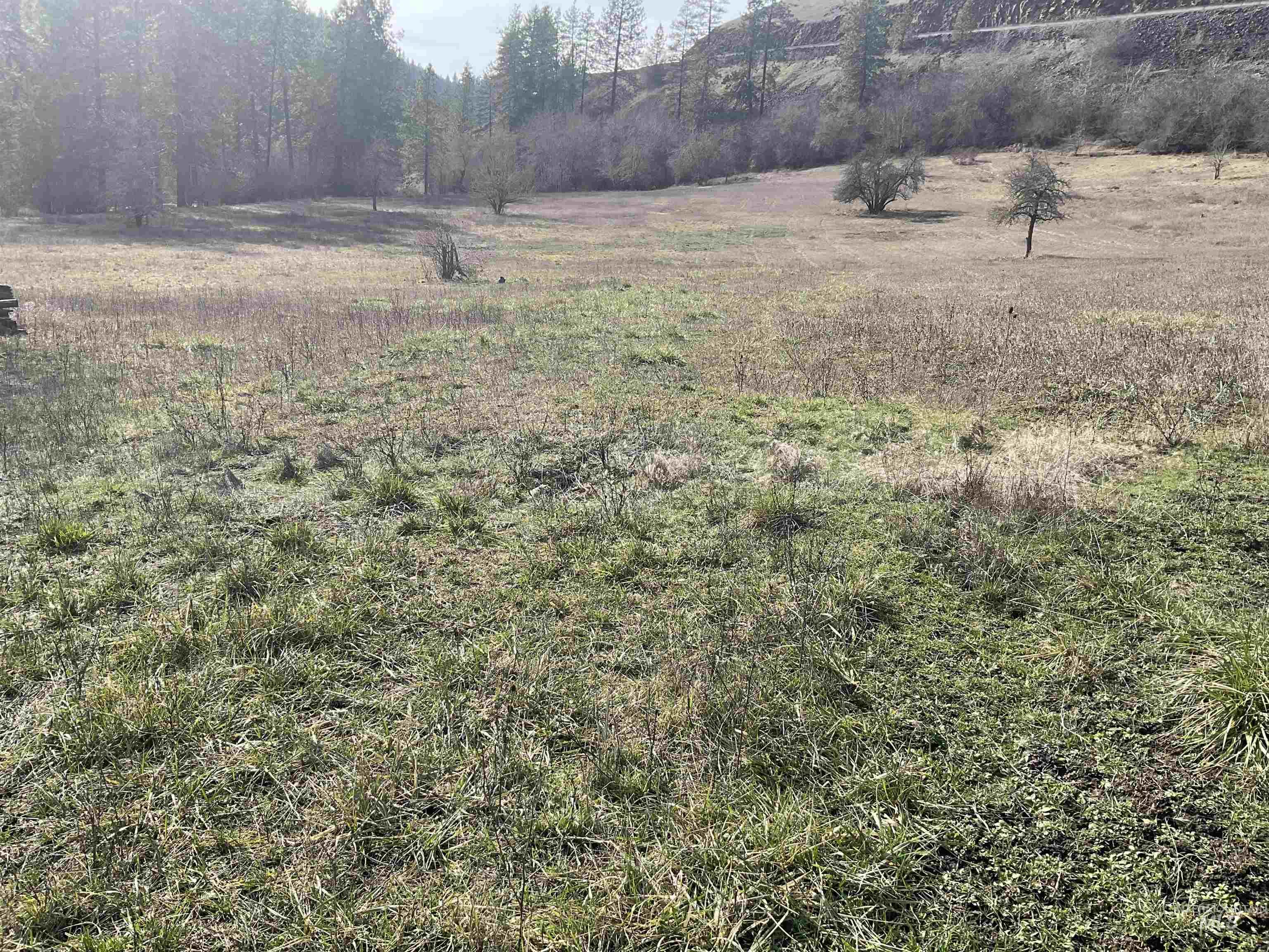 1050 Cedar Ridge Rd, Kendrick, Idaho 83537, Land For Sale, Price $450,000,MLS 98974670