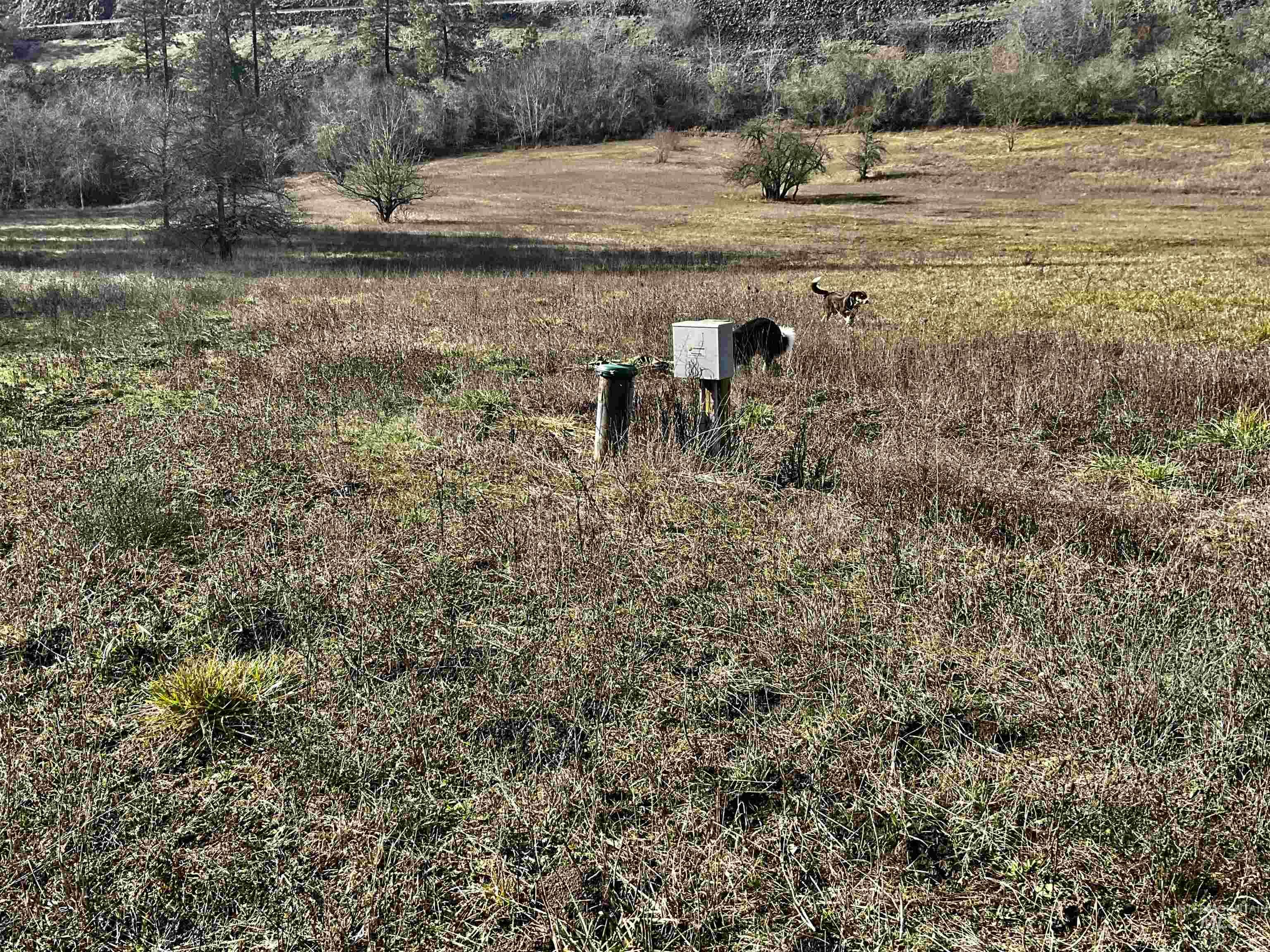 1050 Cedar Ridge Rd, Kendrick, Idaho 83537, Land For Sale, Price $450,000,MLS 98974670