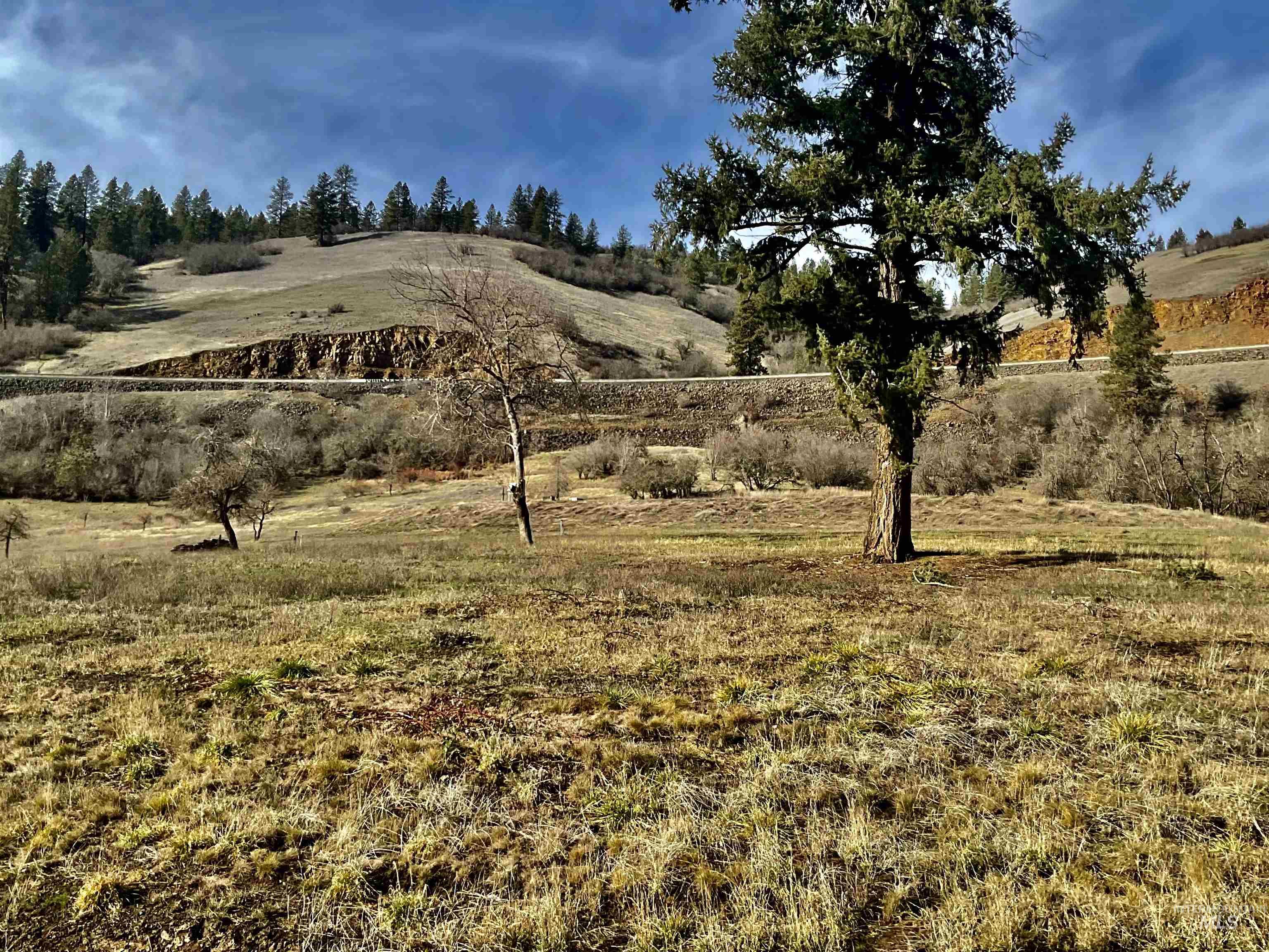 1050 Cedar Ridge Rd, Kendrick, Idaho 83537, Land For Sale, Price $450,000,MLS 98974670