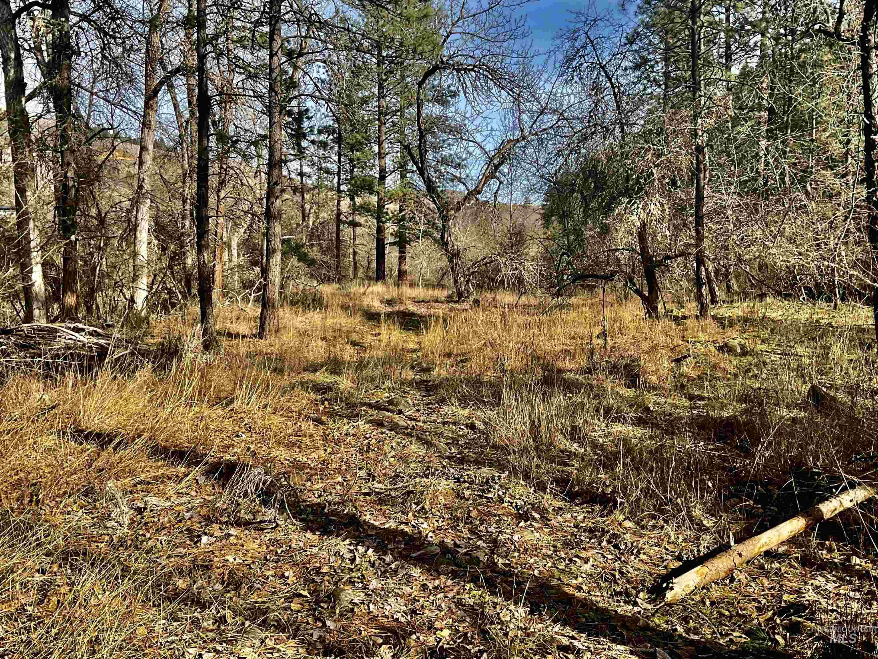1050 Cedar Ridge Rd, Kendrick, Idaho 83537, Land For Sale, Price $450,000,MLS 98974670