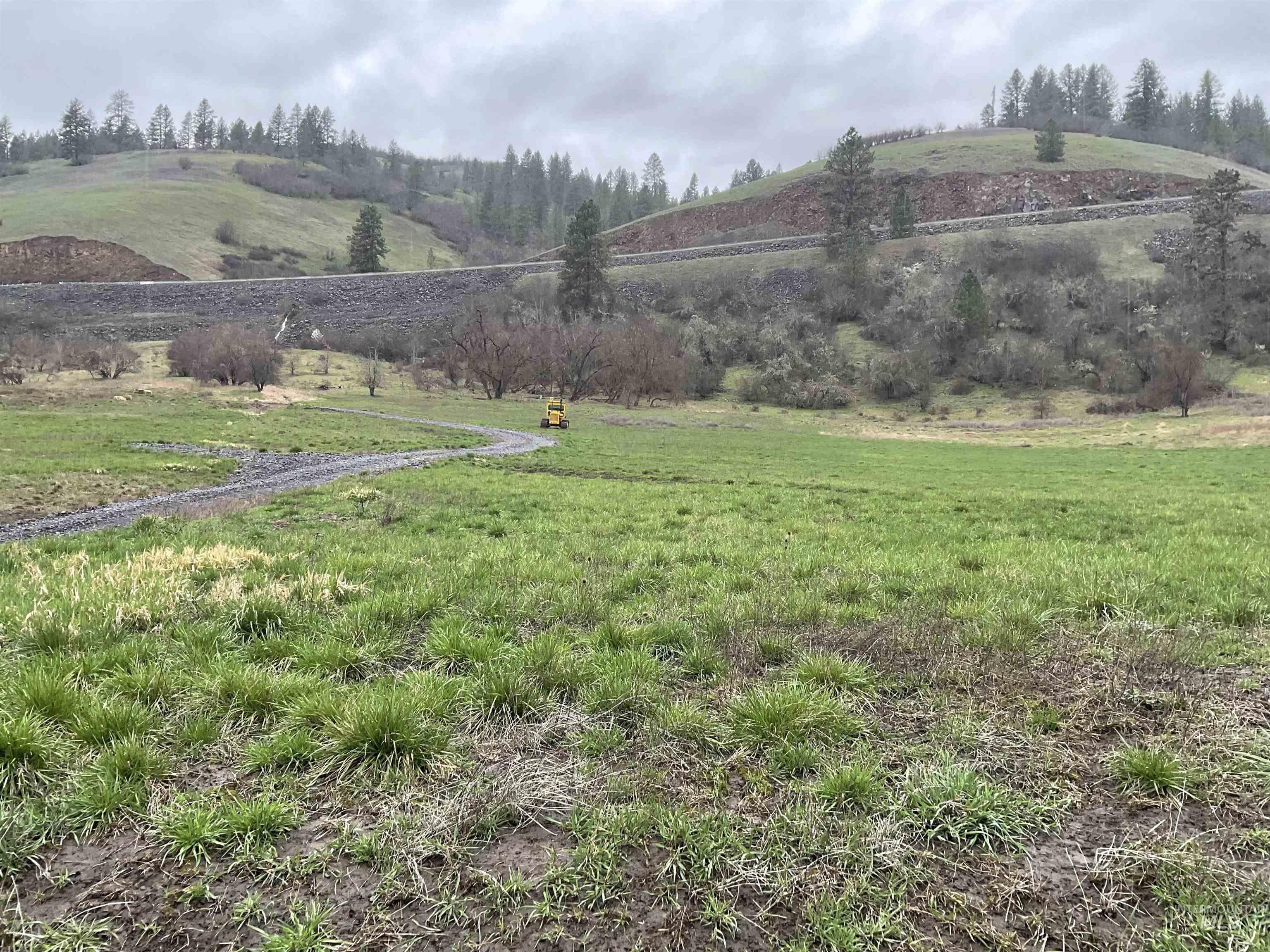 1050 Cedar Ridge Rd, Kendrick, Idaho 83537, Land For Sale, Price $450,000,MLS 98974670