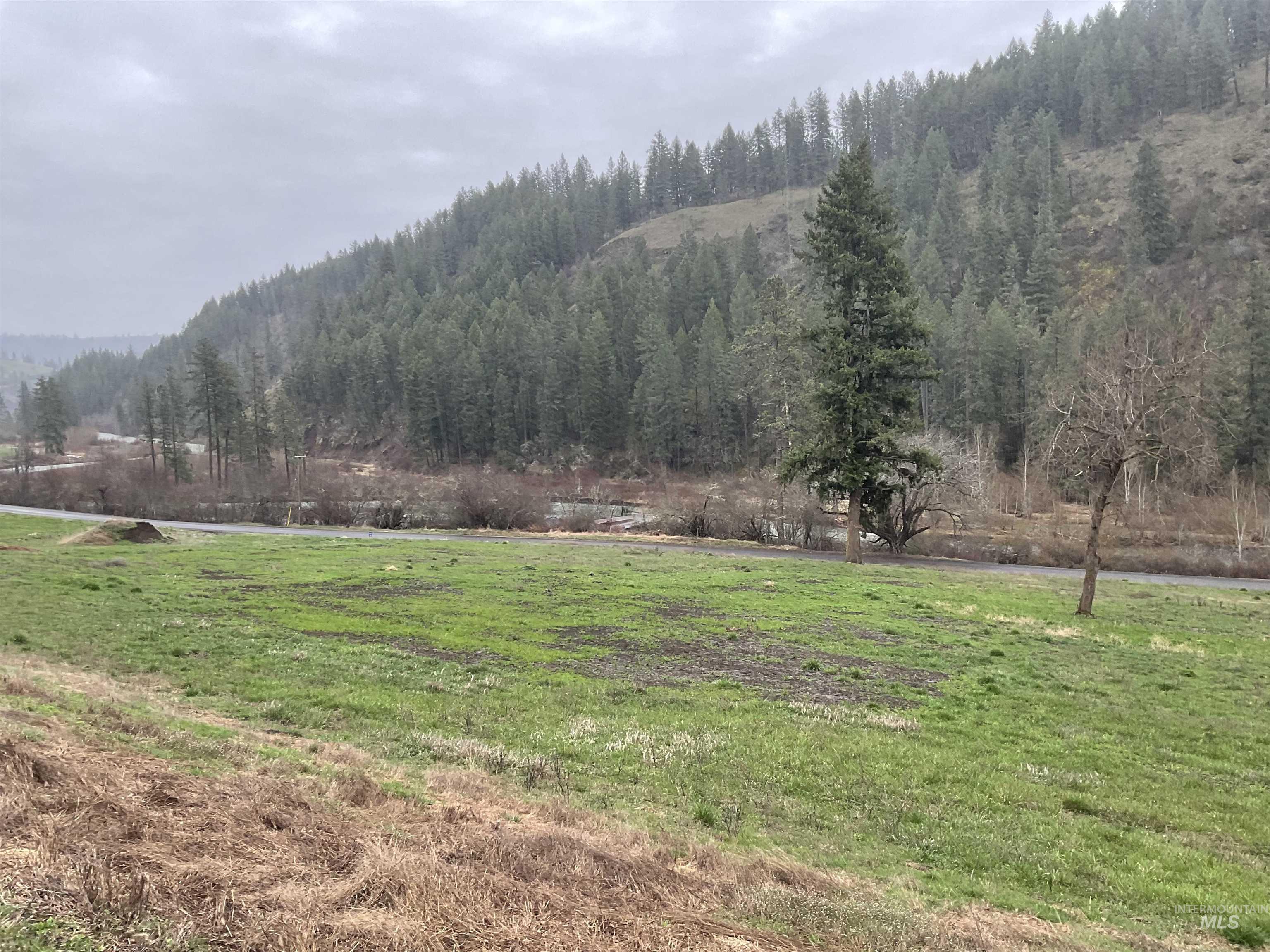 1050 Cedar Ridge Rd, Kendrick, Idaho 83537, Land For Sale, Price $450,000,MLS 98974670