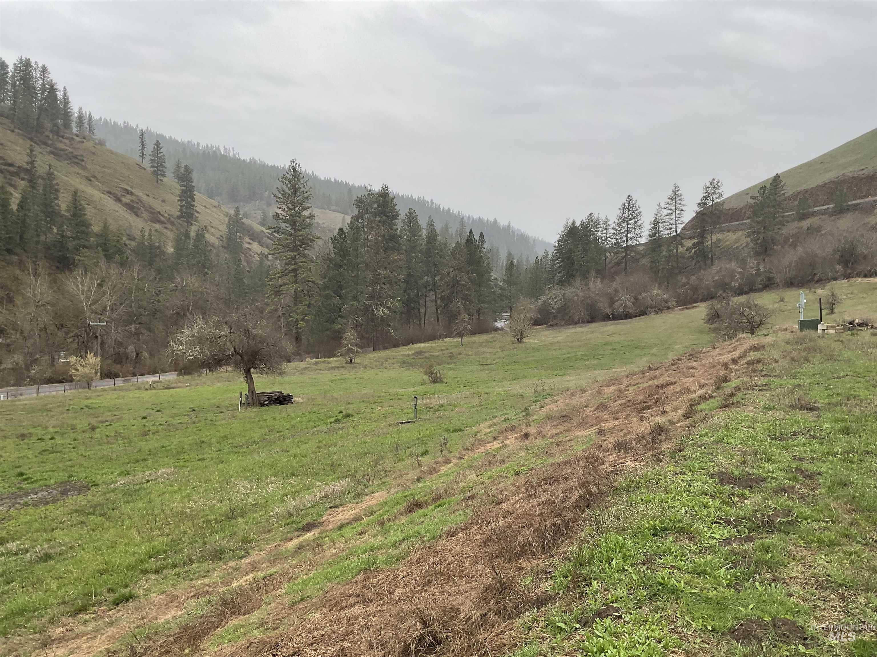 1050 Cedar Ridge Rd, Kendrick, Idaho 83537, Land For Sale, Price $450,000,MLS 98974670