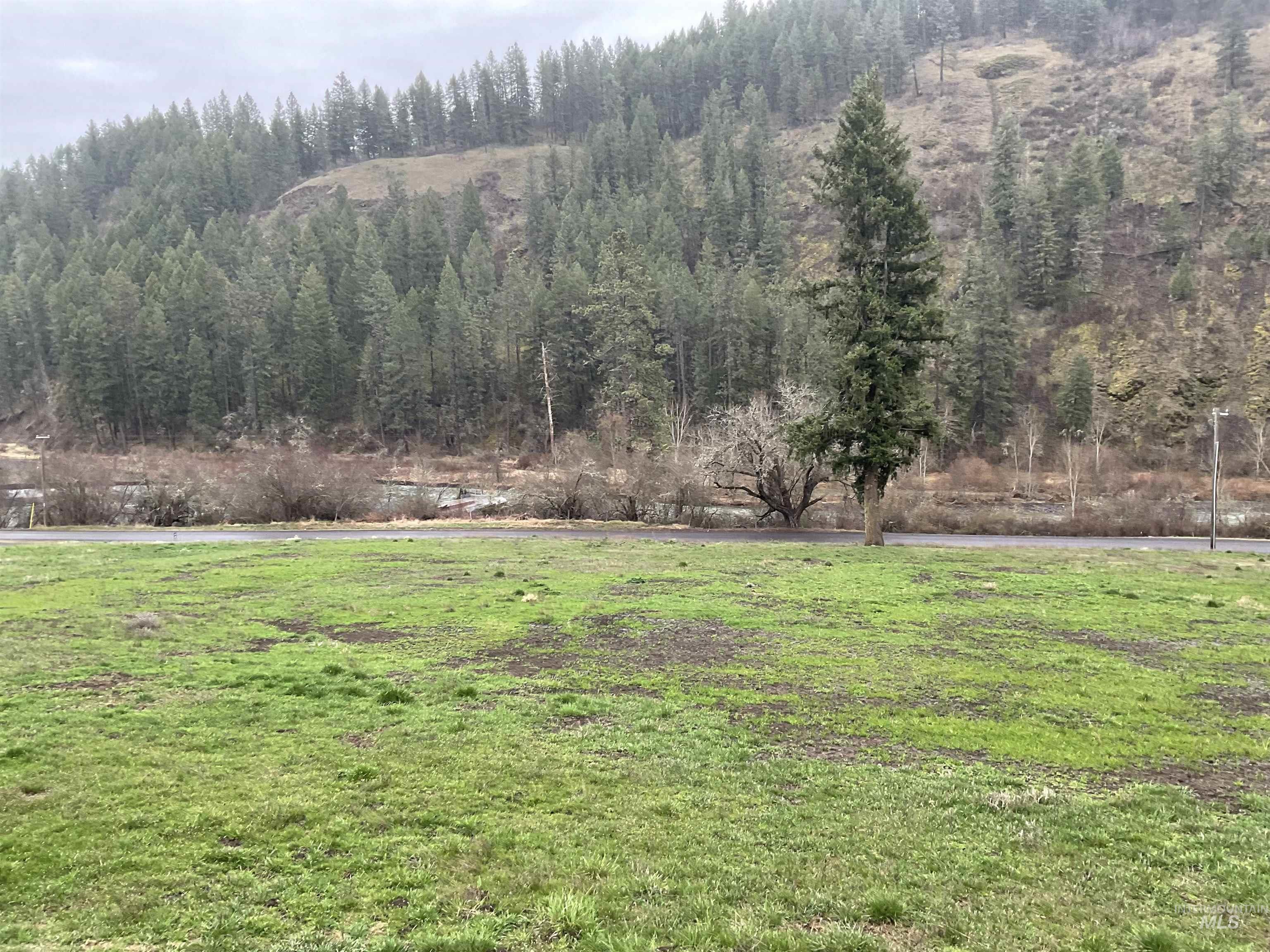 1050 Cedar Ridge Rd, Kendrick, Idaho 83537, Land For Sale, Price $450,000,MLS 98974670