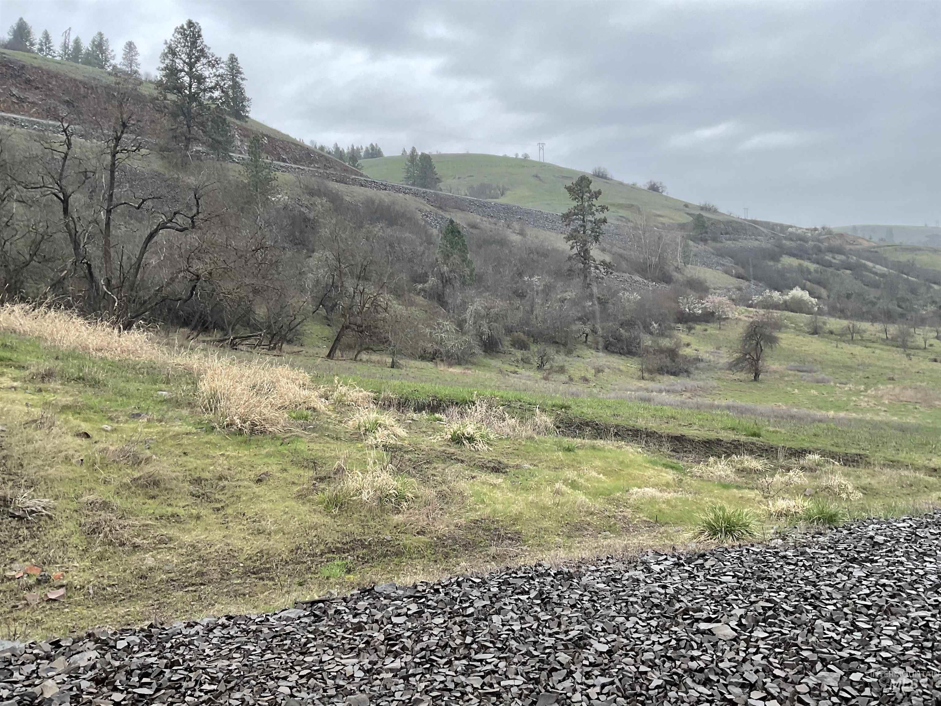 1050 Cedar Ridge Rd, Kendrick, Idaho 83537, Land For Sale, Price $450,000,MLS 98974670