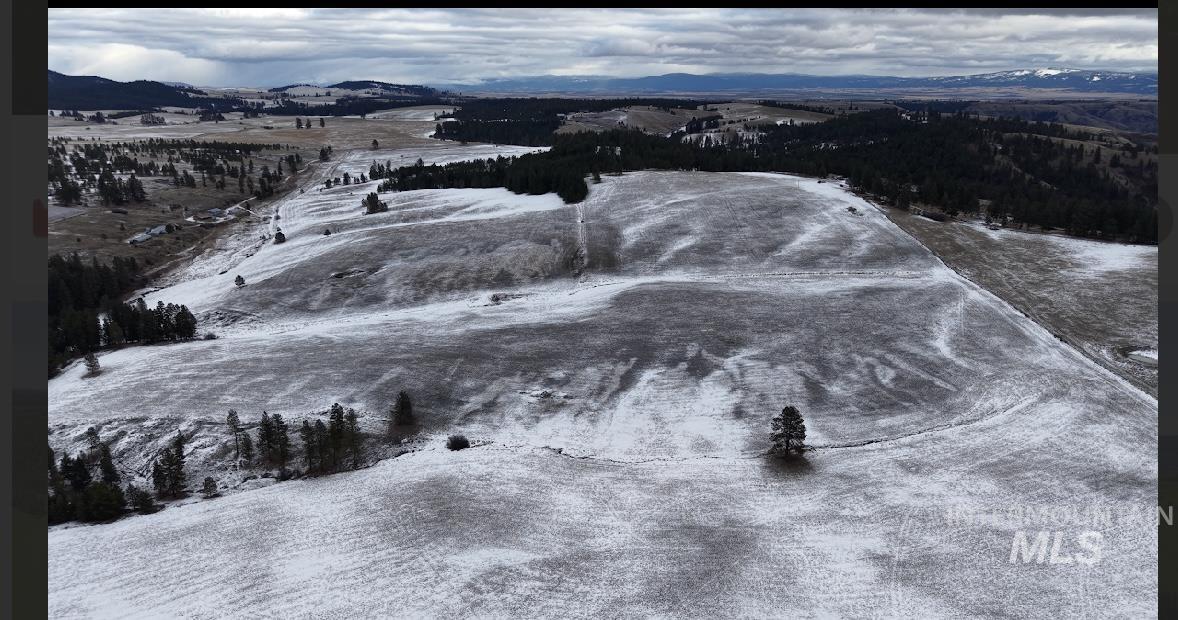 TBD Rieman Rd, CottonWood, Idaho 83522, Land For Sale, Price $895,000,MLS 98974764