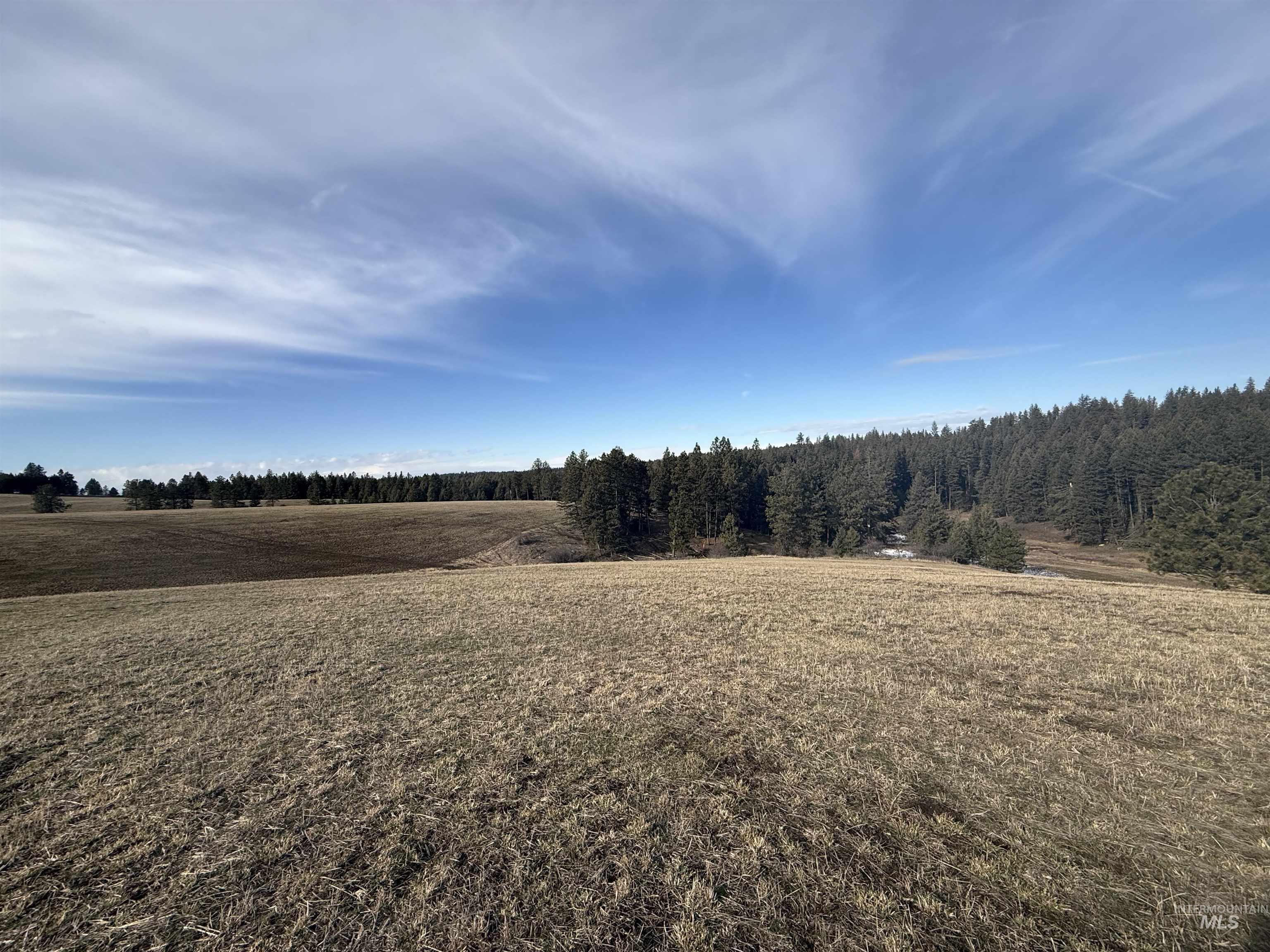 TBD Rieman Rd, CottonWood, Idaho 83522, Land For Sale, Price $895,000, 98974764