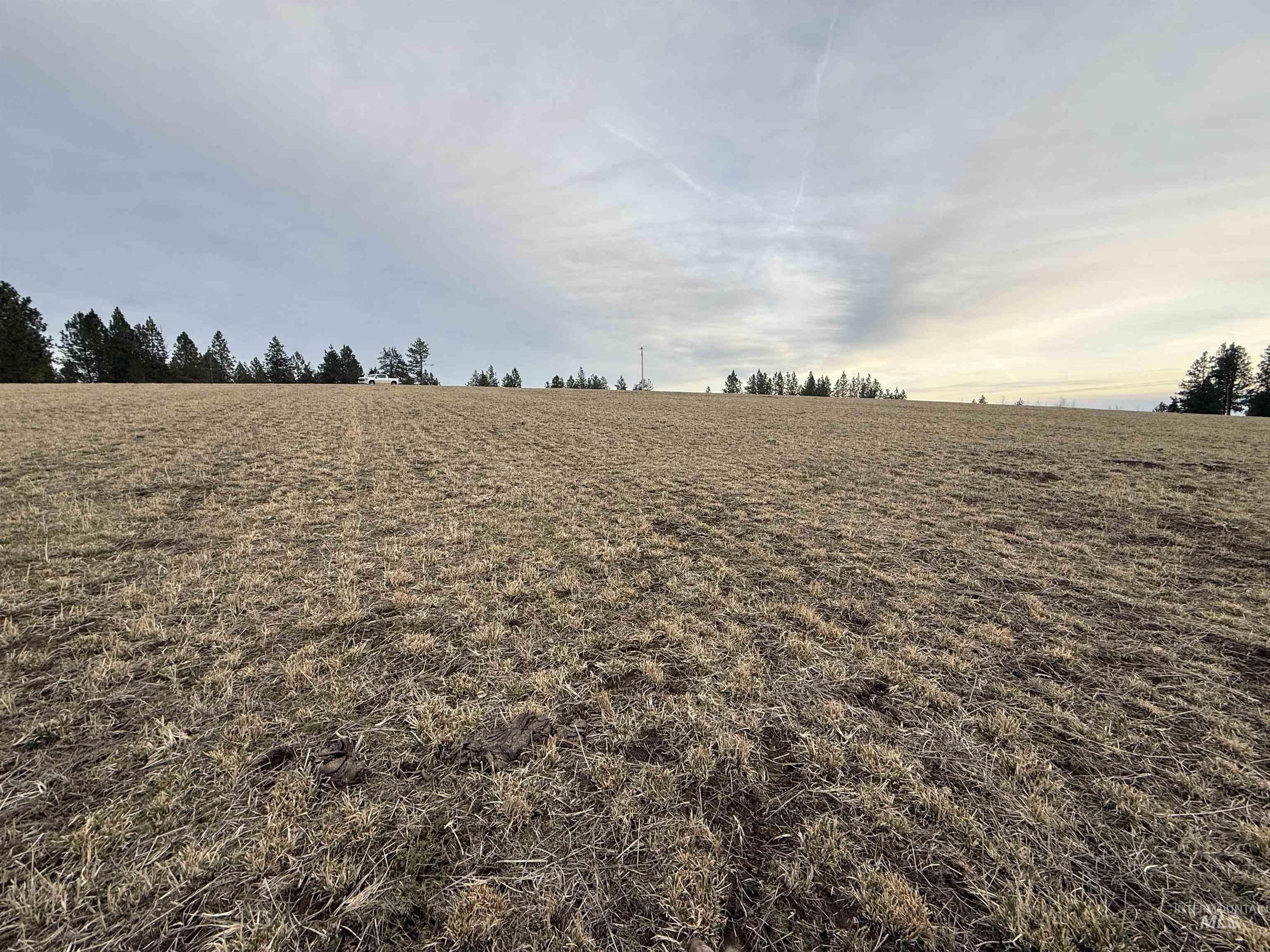 TBD Rieman Rd, CottonWood, Idaho 83522, Land For Sale, Price $895,000, 98974764