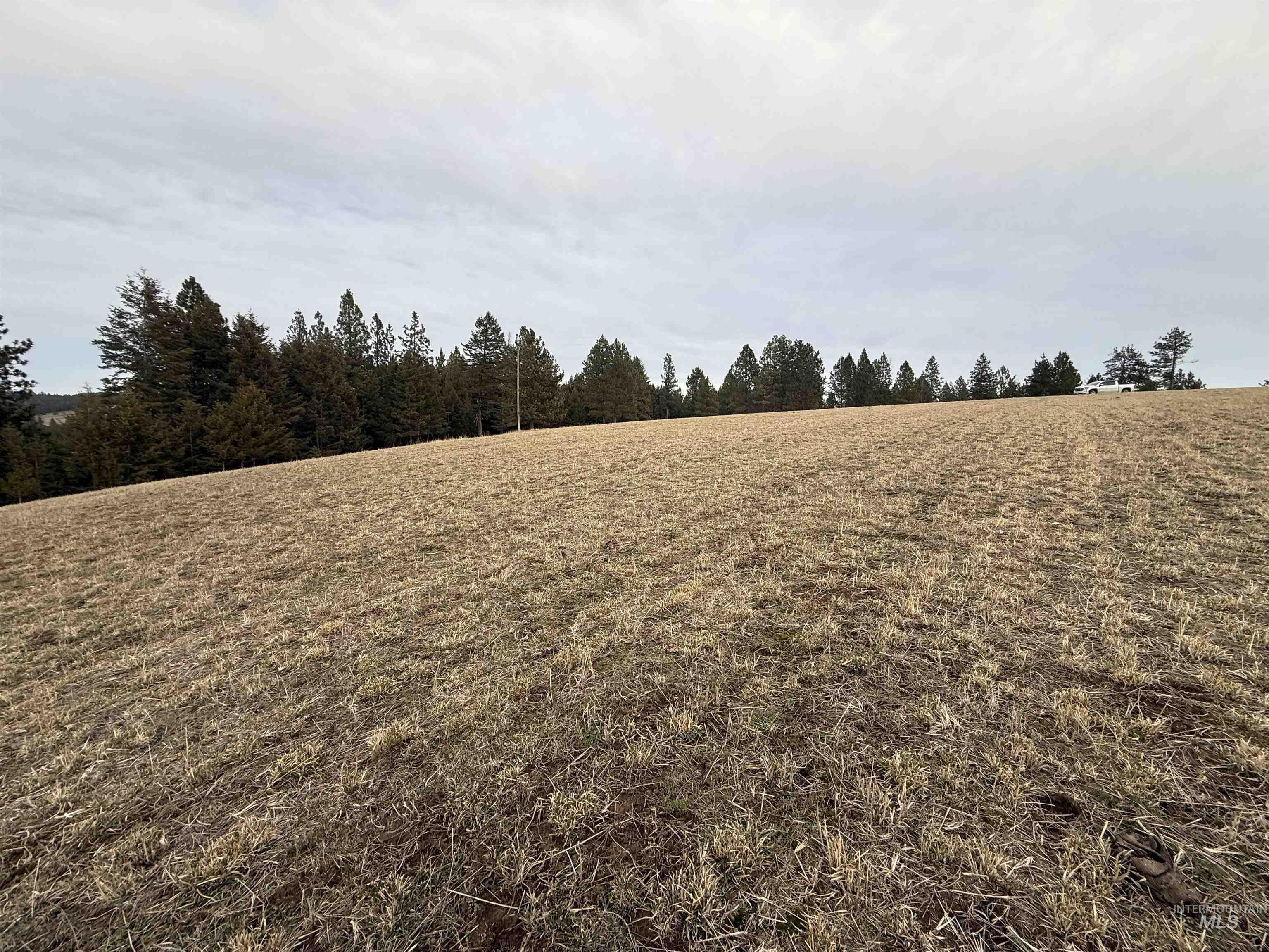 TBD Rieman Rd, CottonWood, Idaho 83522, Land For Sale, Price $895,000, 98974764