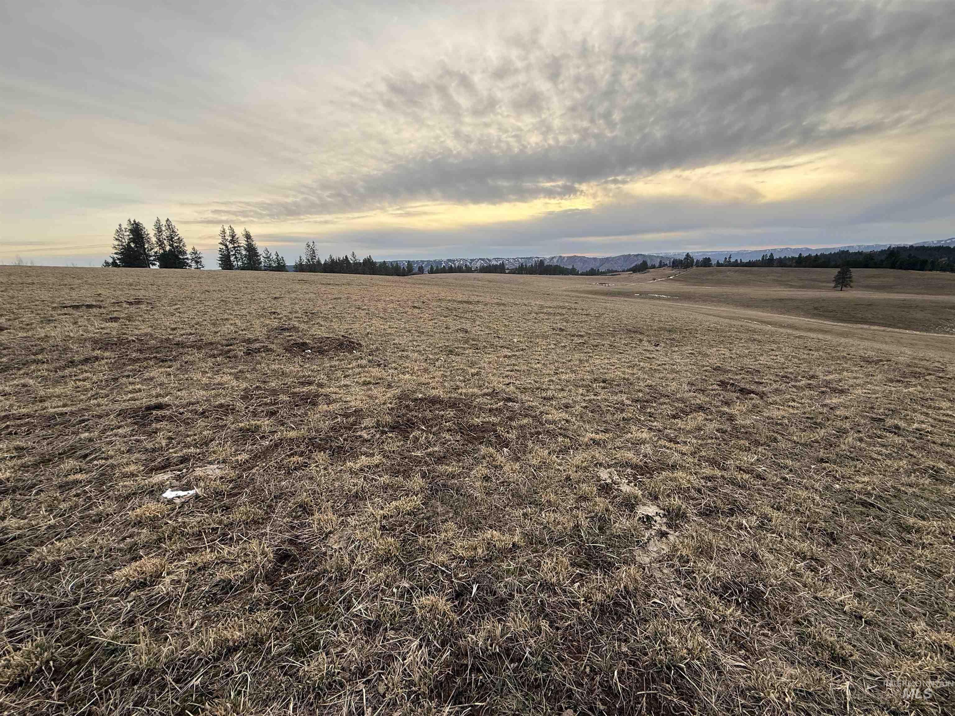 TBD Rieman Rd, CottonWood, Idaho 83522, Land For Sale, Price $895,000, 98974764