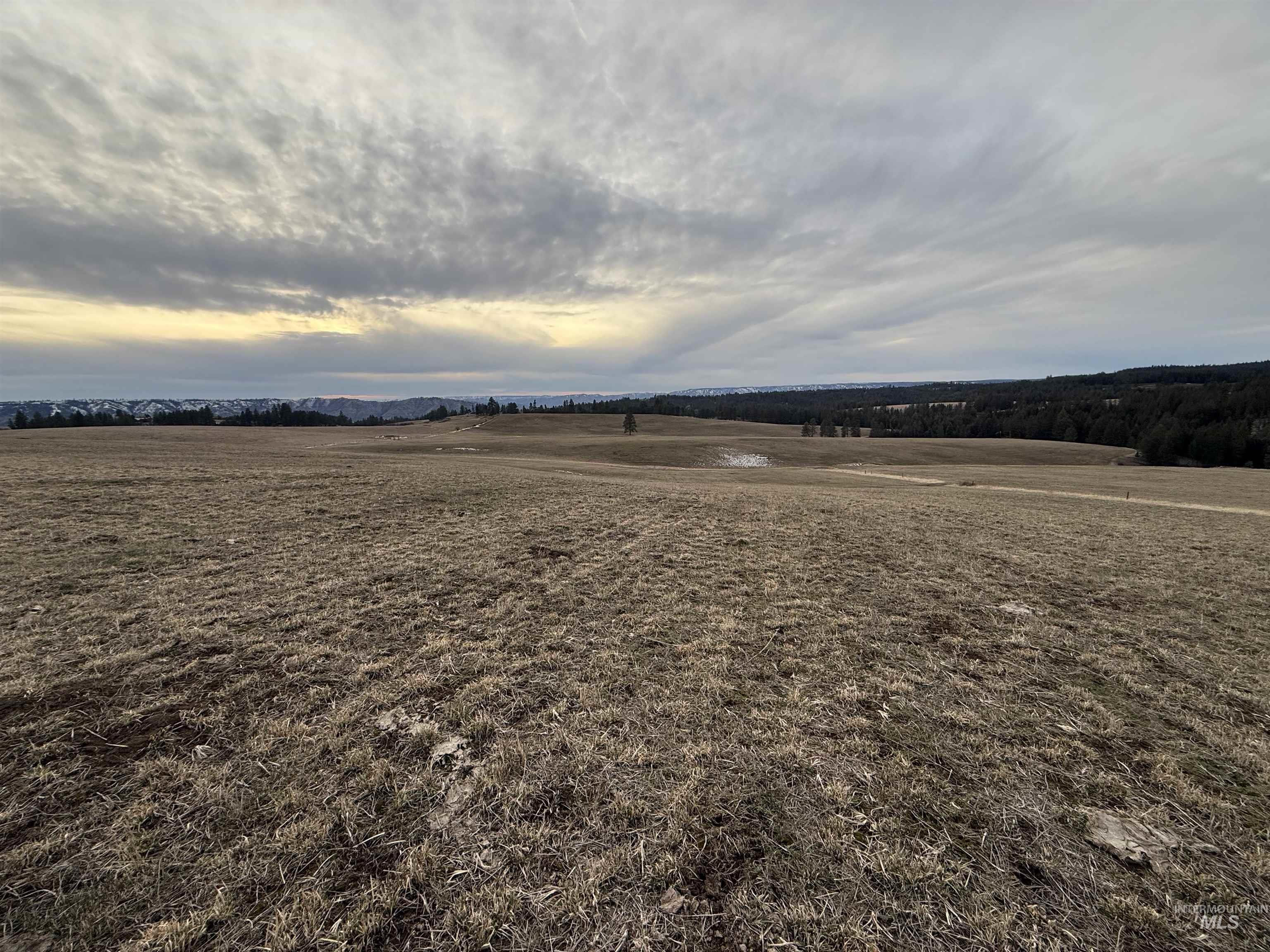 TBD Rieman Rd, CottonWood, Idaho 83522, Land For Sale, Price $895,000, 98974764