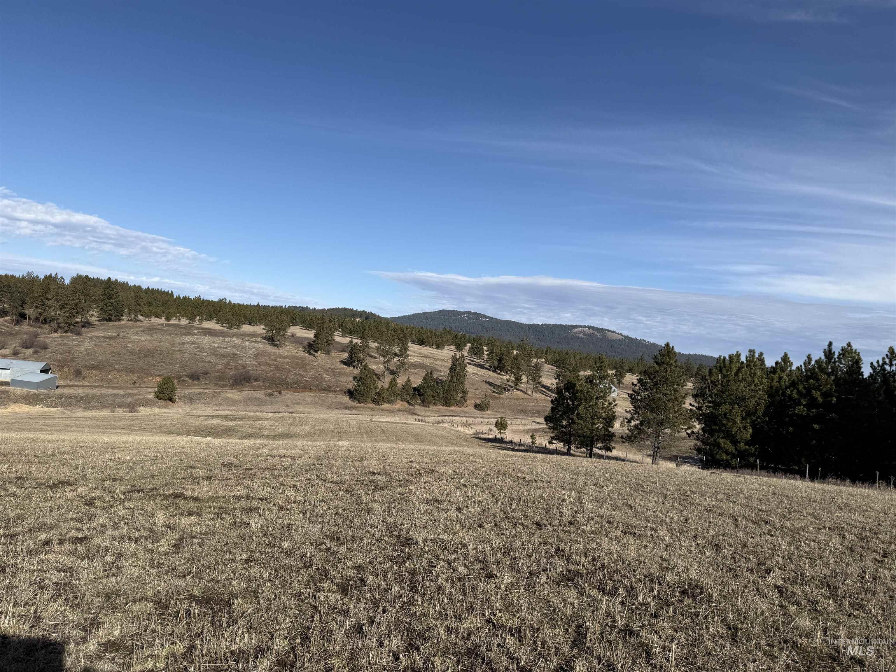 TBD Rieman Rd, CottonWood, Idaho 83522, Land For Sale, Price $895,000, 98974764