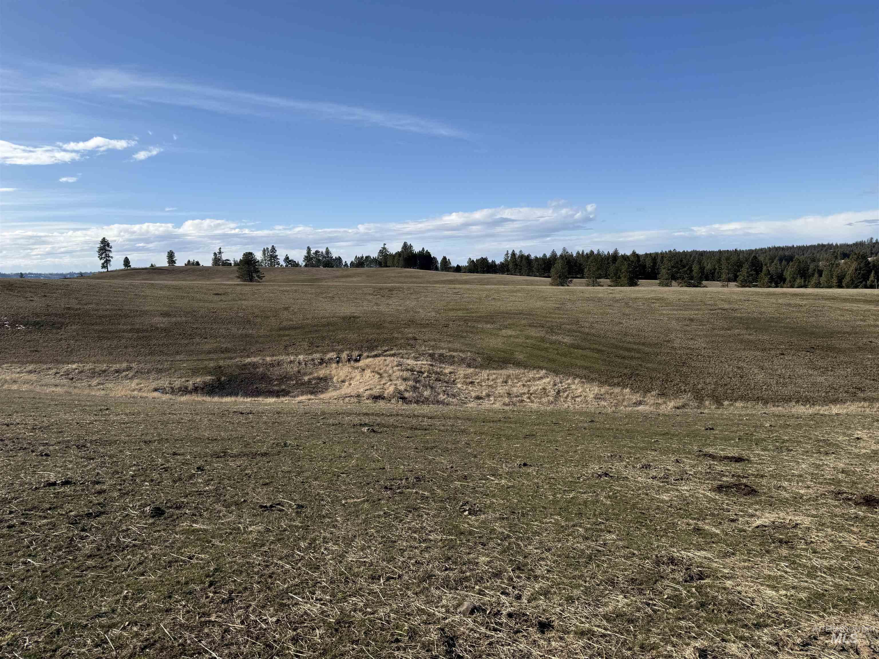 TBD Rieman Rd, CottonWood, Idaho 83522, Land For Sale, Price $895,000,MLS 98974764