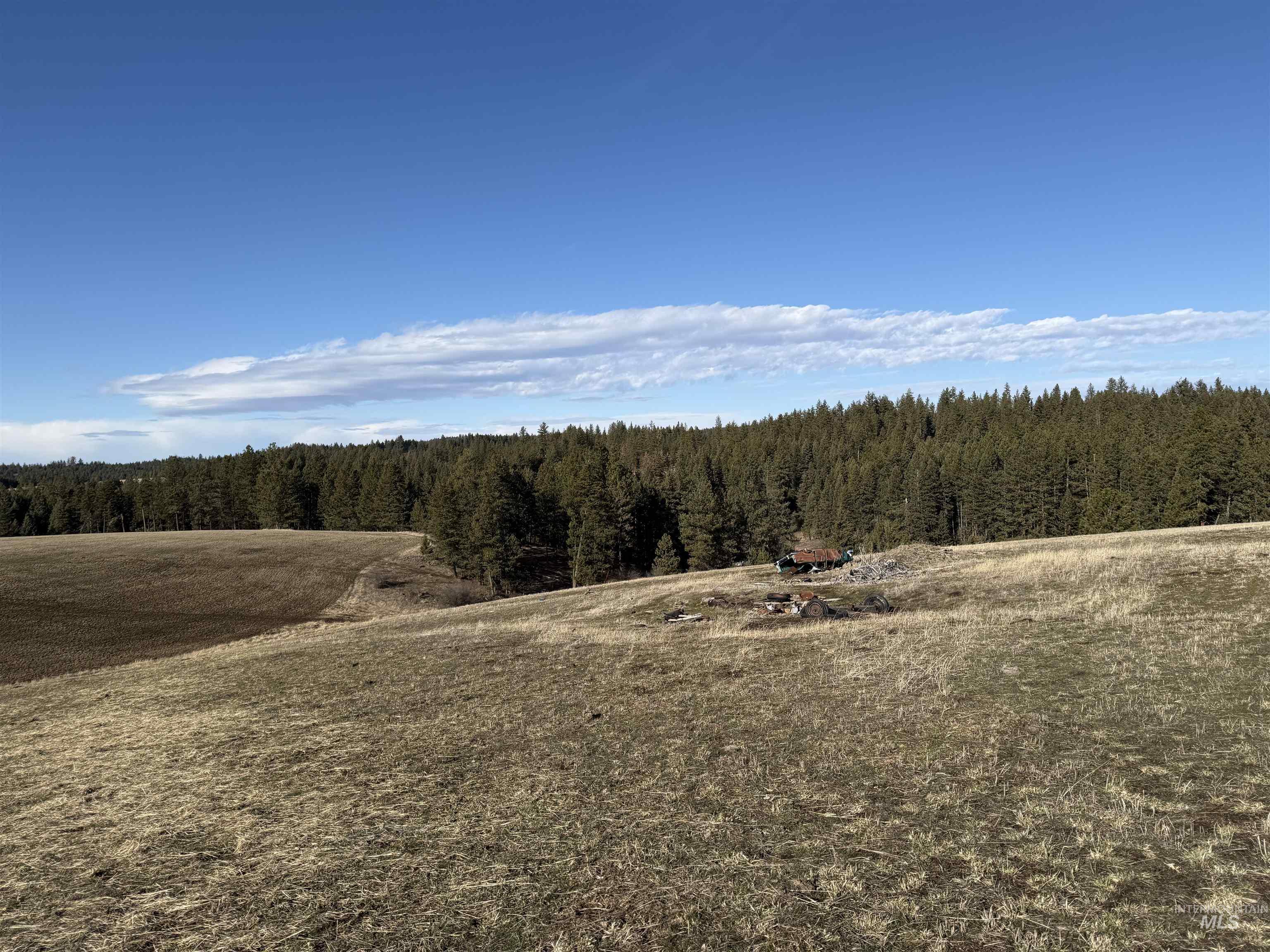 TBD Rieman Rd, CottonWood, Idaho 83522, Land For Sale, Price $895,000,MLS 98974764