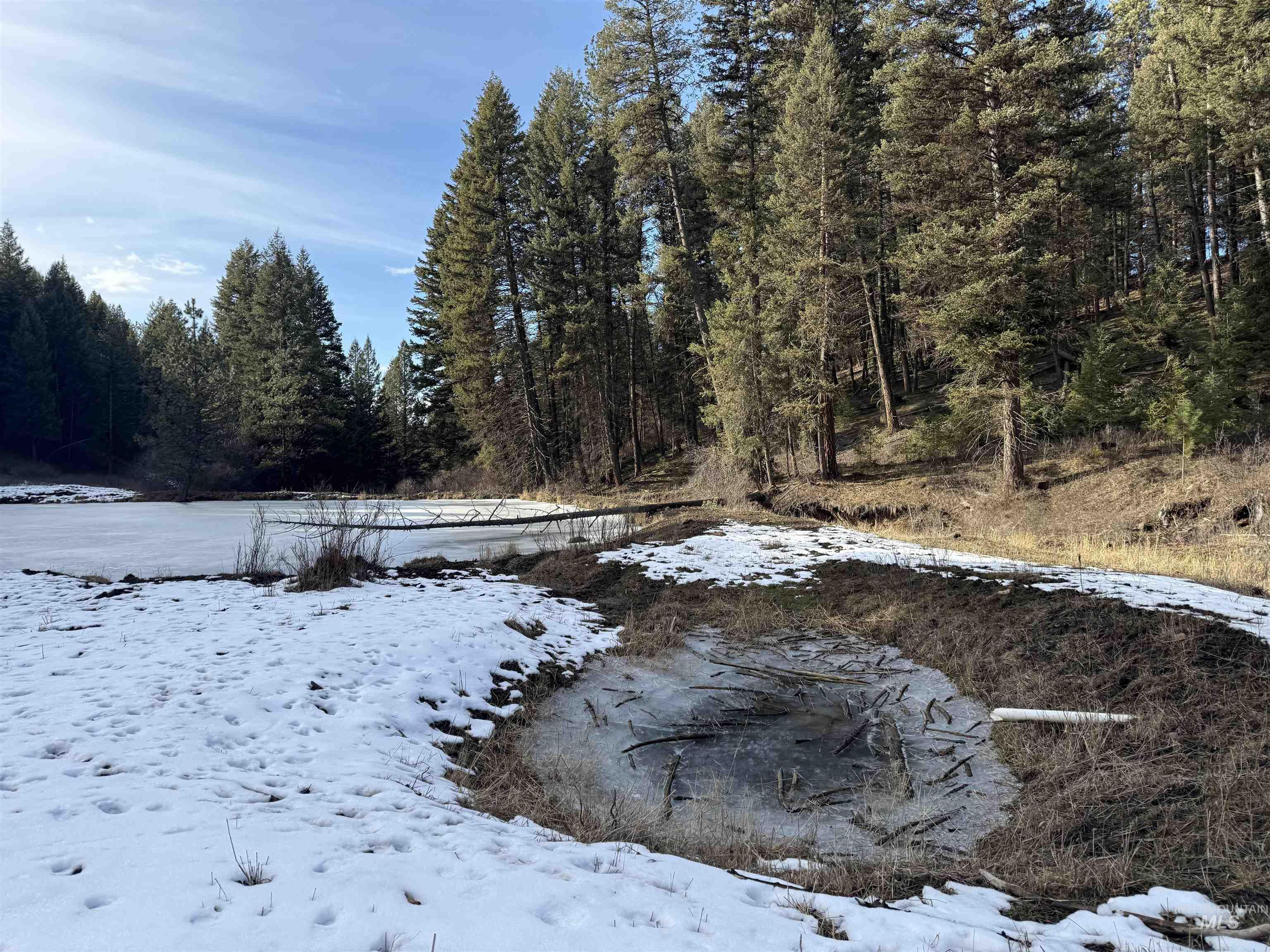 TBD Rieman Rd, CottonWood, Idaho 83522, Land For Sale, Price $895,000,MLS 98974764