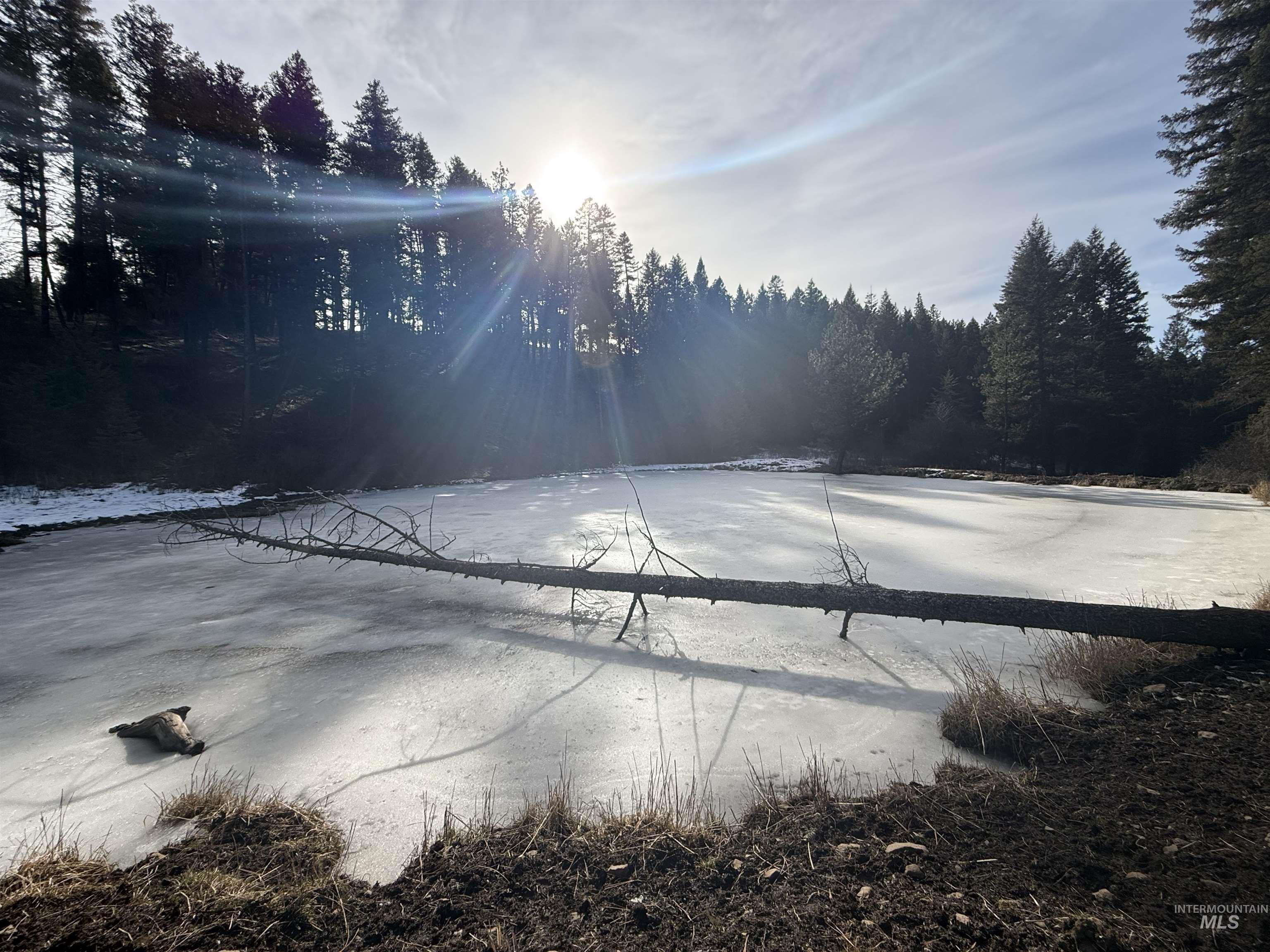 TBD Rieman Rd, CottonWood, Idaho 83522, Land For Sale, Price $895,000, 98974764