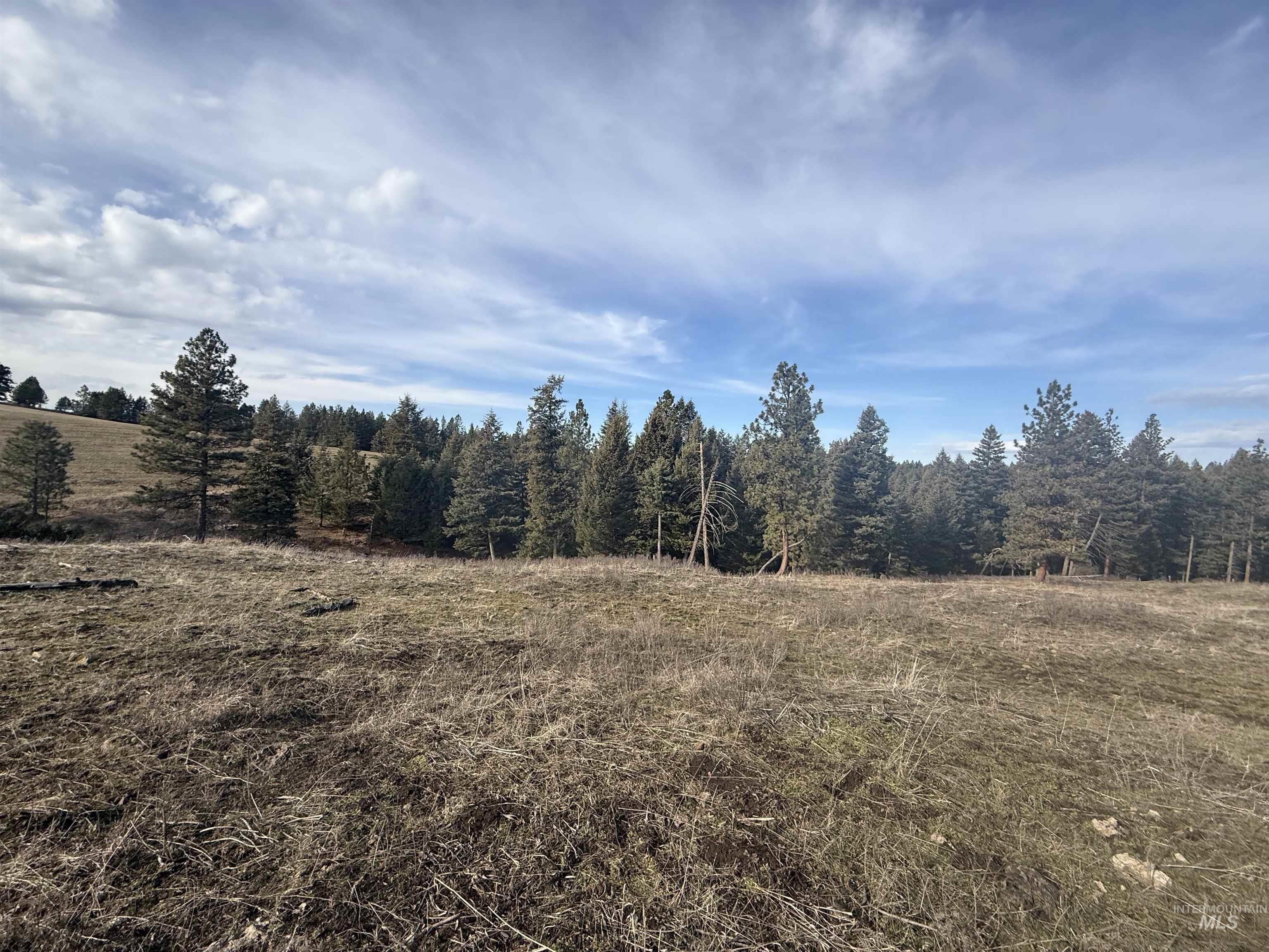 TBD Rieman Rd, CottonWood, Idaho 83522, Land For Sale, Price $895,000,MLS 98974764