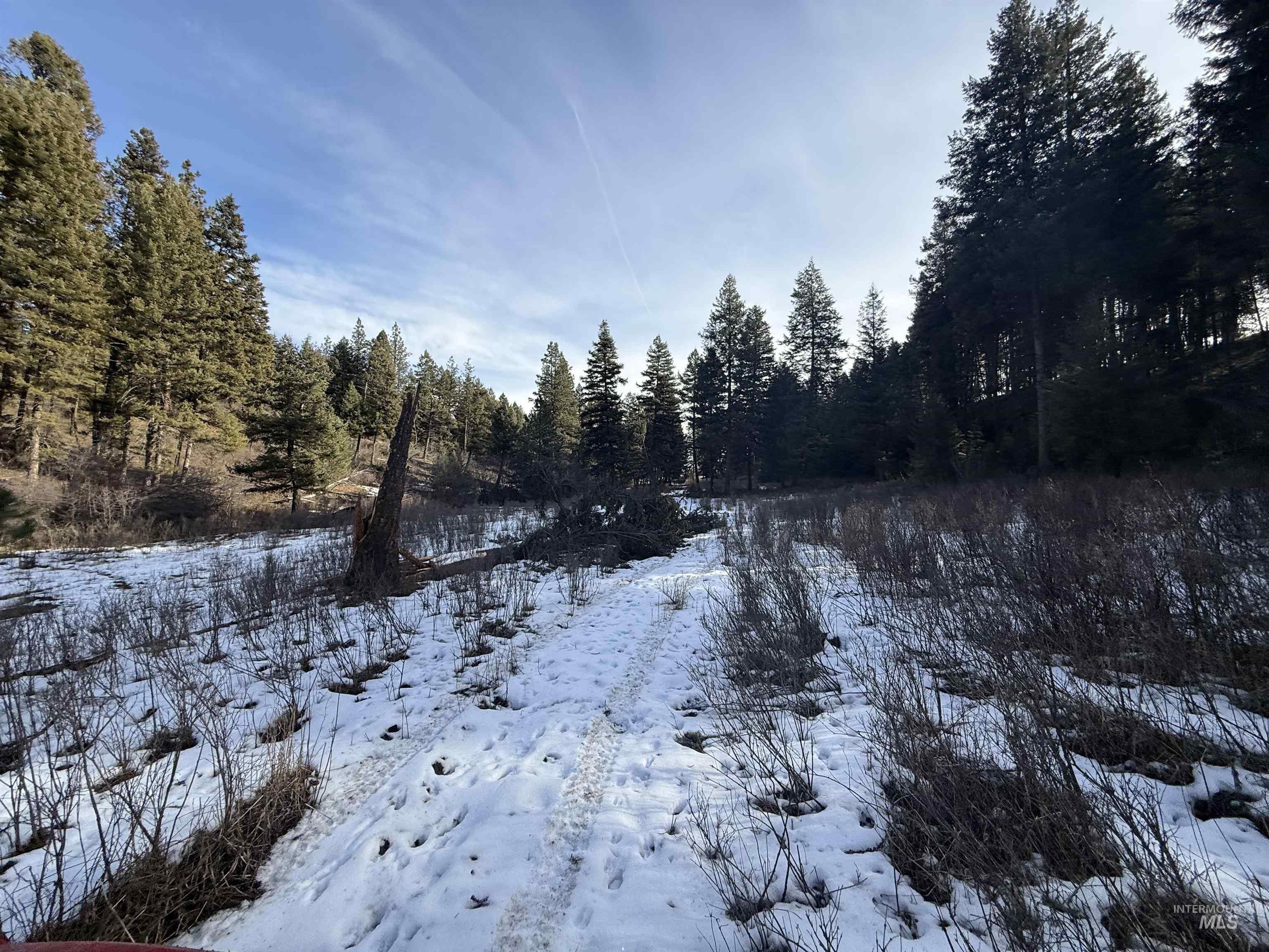 TBD Rieman Rd, CottonWood, Idaho 83522, Land For Sale, Price $895,000, 98974764