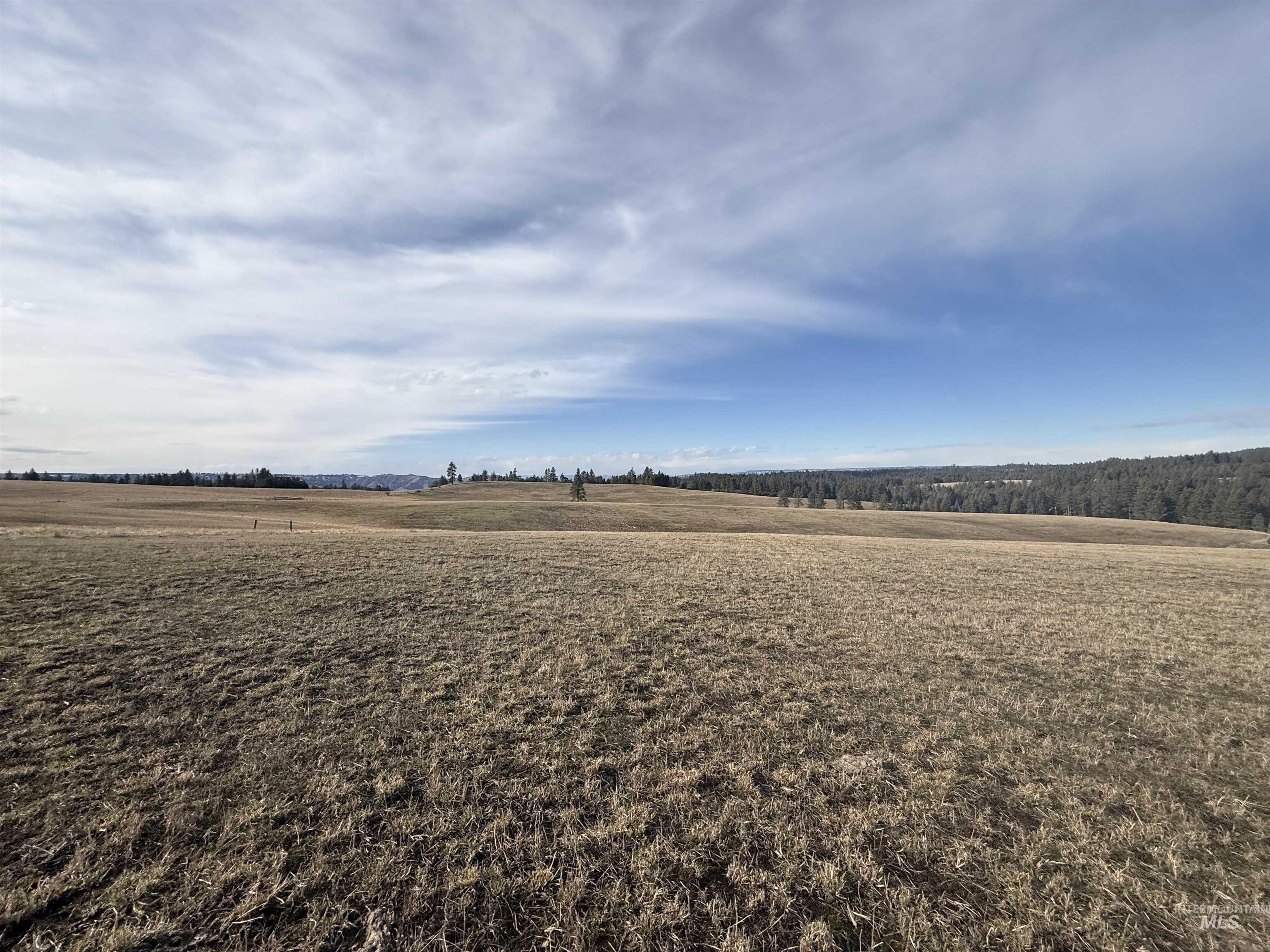 TBD Rieman Rd, CottonWood, Idaho 83522, Land For Sale, Price $895,000, 98974764